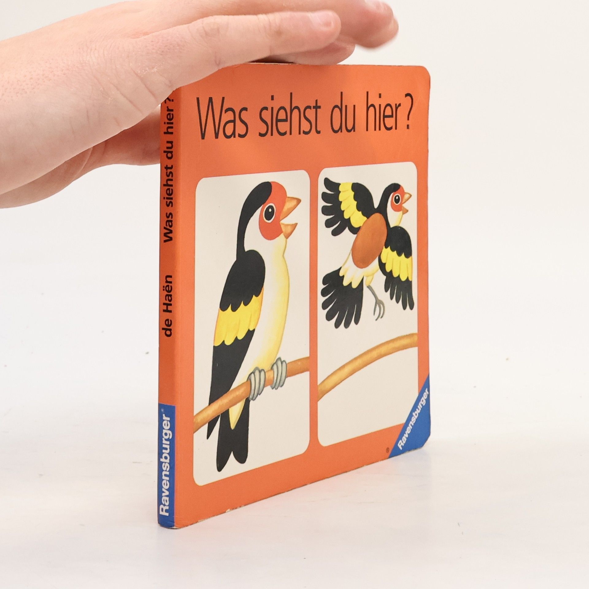 Wolfgang de Haen Was siehst du hier?