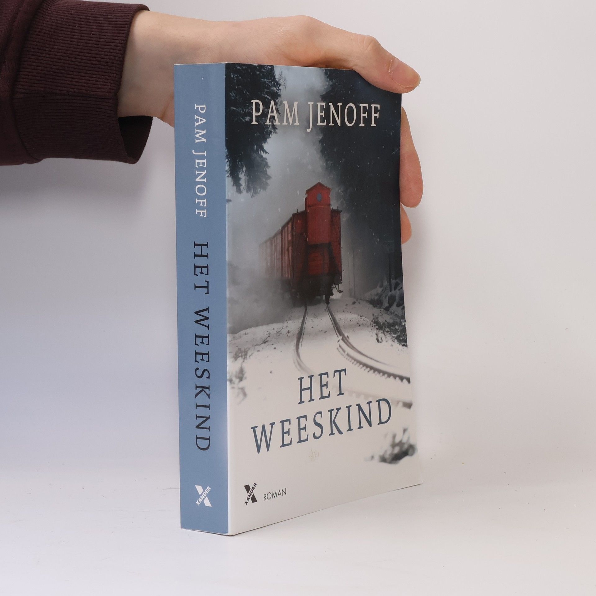 Pam Jenoff Het weeskind