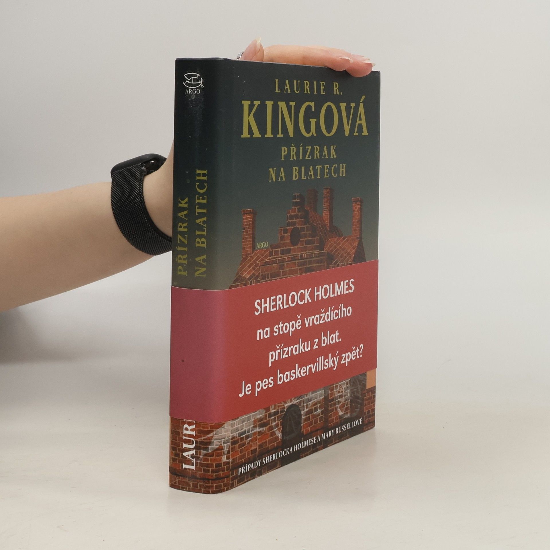 Laurie R. King Přízrak na blatech