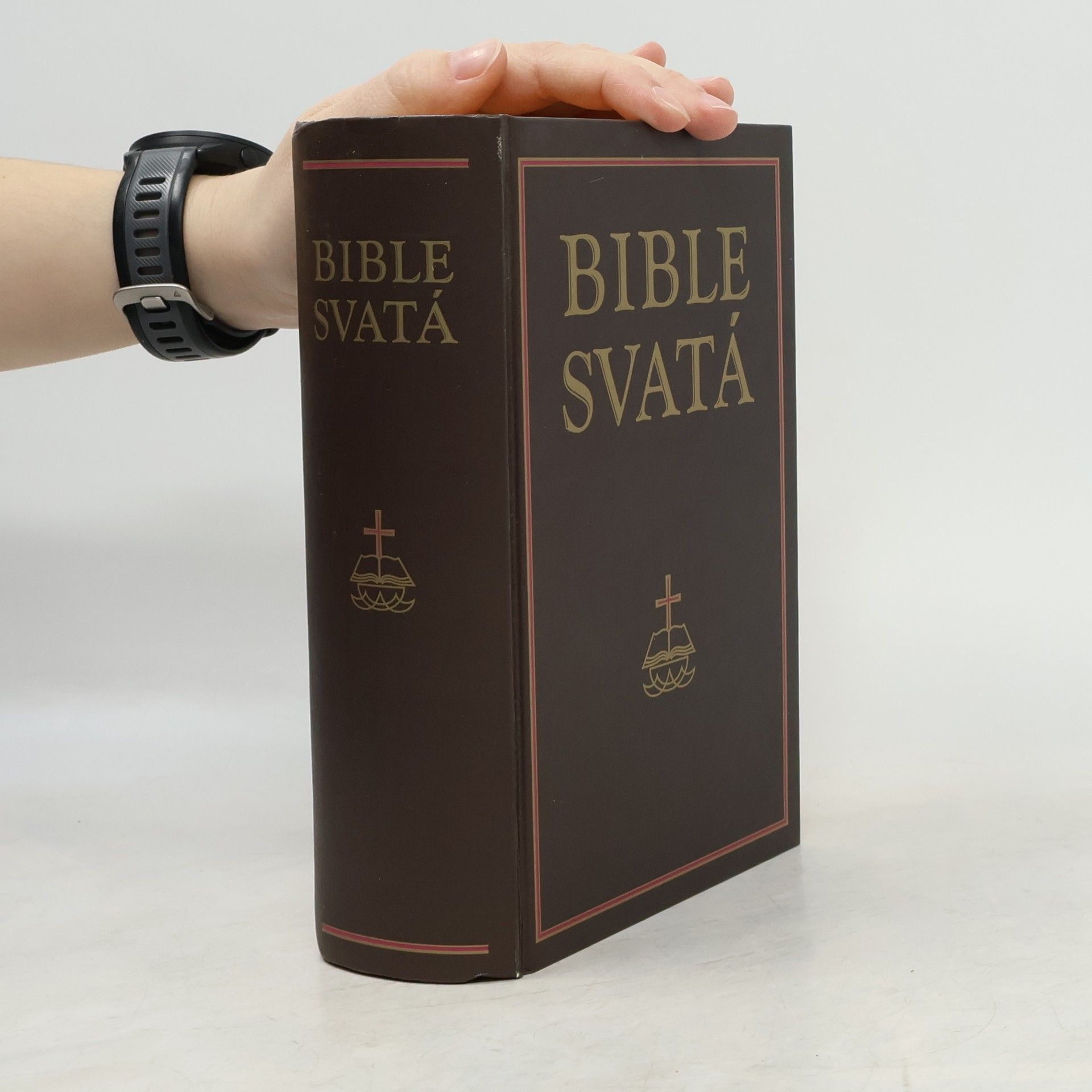 Kolektív autorov Bible svatá aneb všecka svatá písma Starého i Nového zákona
