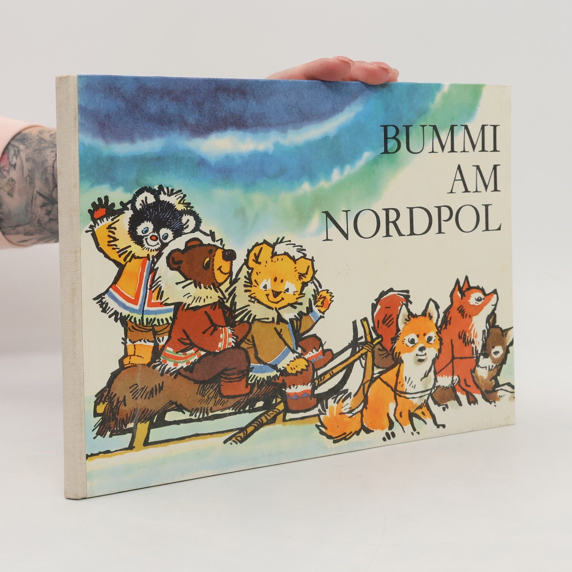Autorenkollektiv Bummi am Nordpol