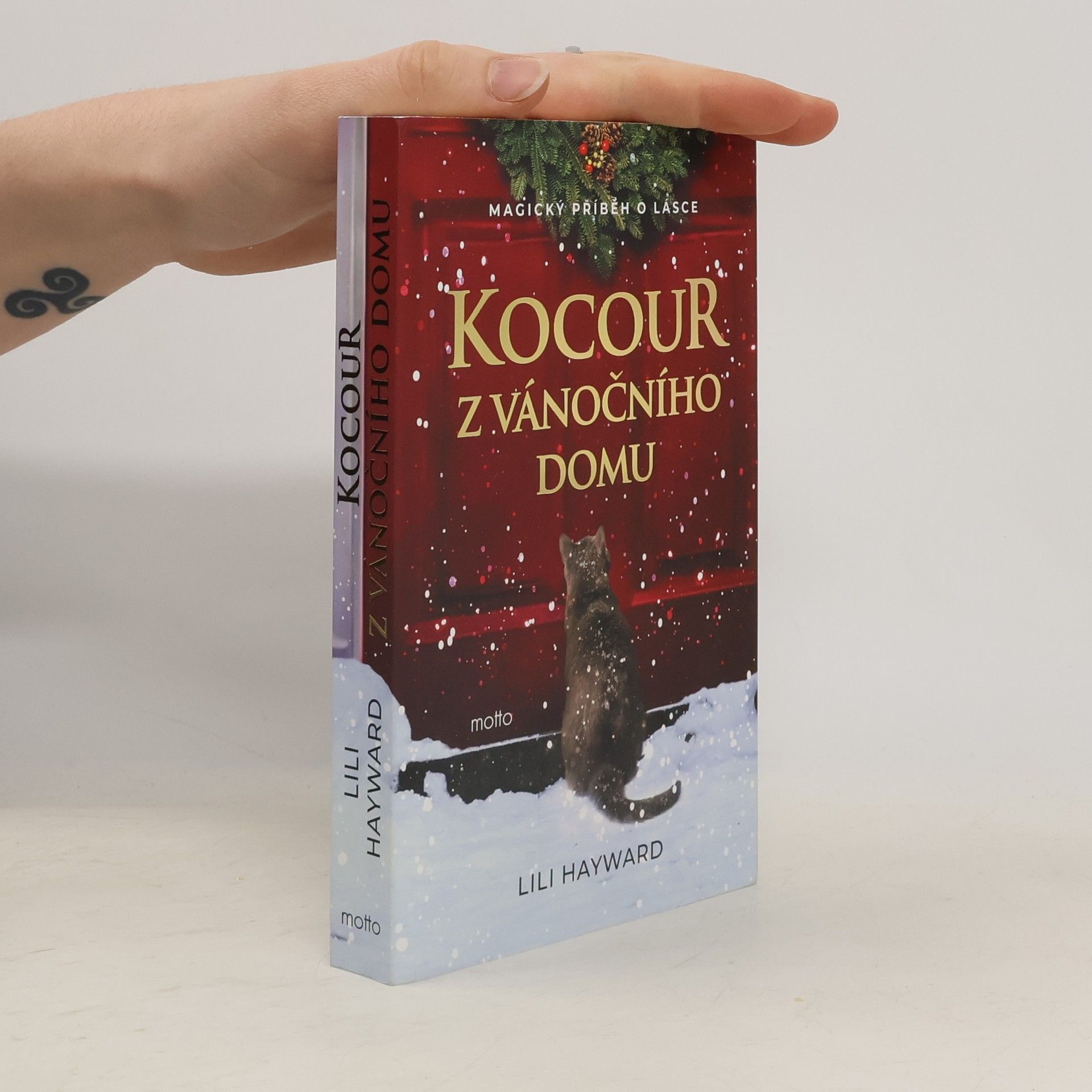 Lili Hayward Kocour z vánočního domu