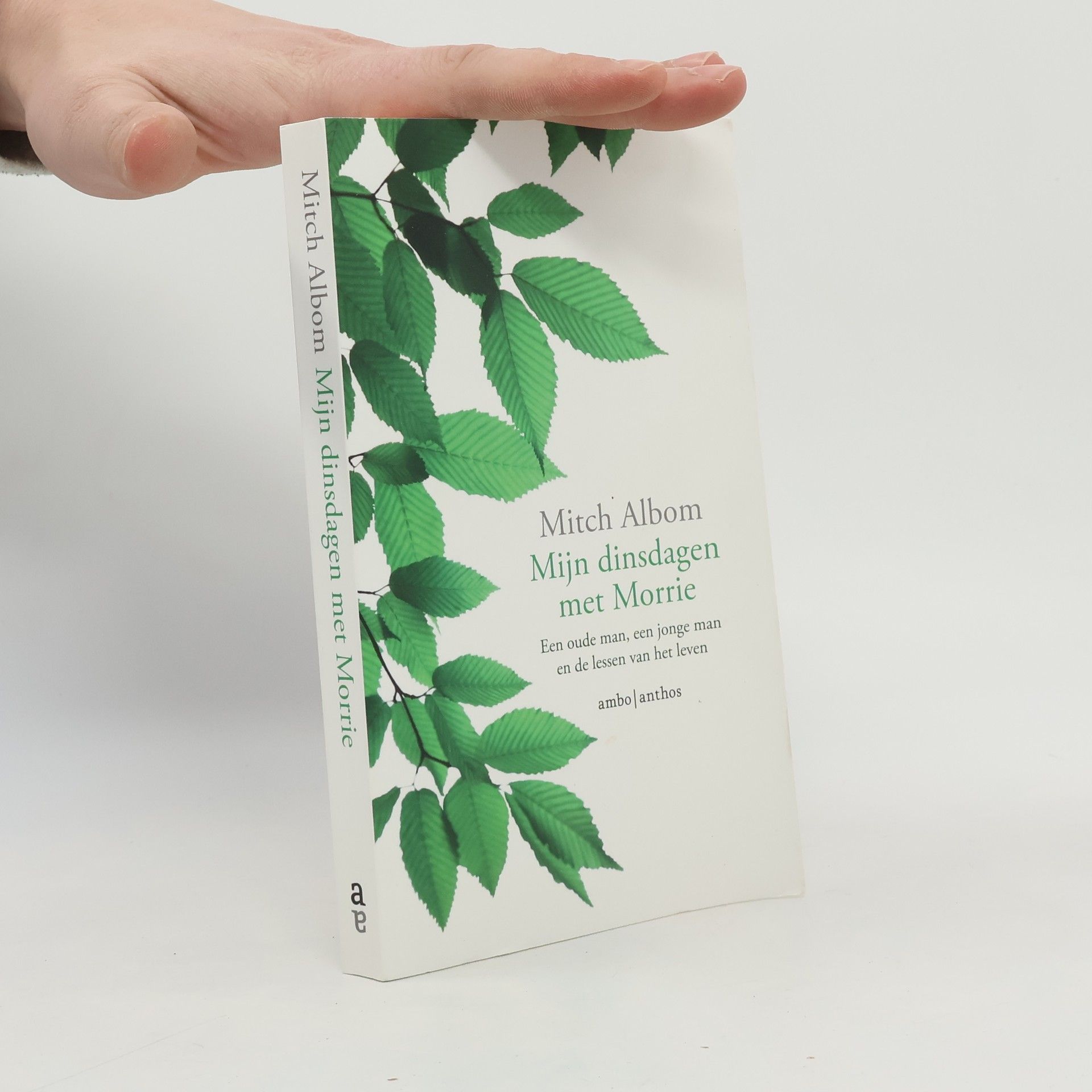 Mitch Albom Mijn dinsdagen met Morrie