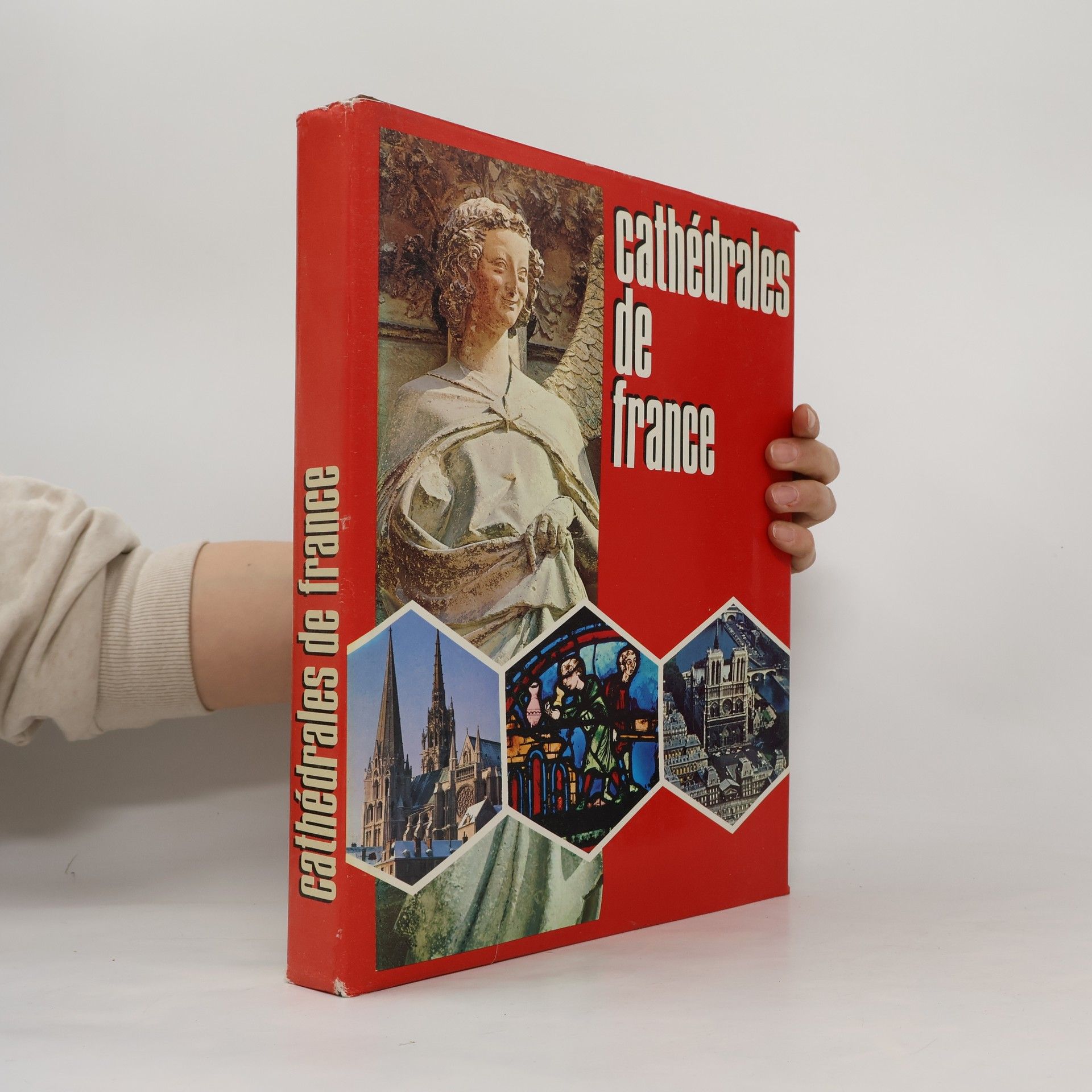 AA.VV. L'épopée des cathédrales