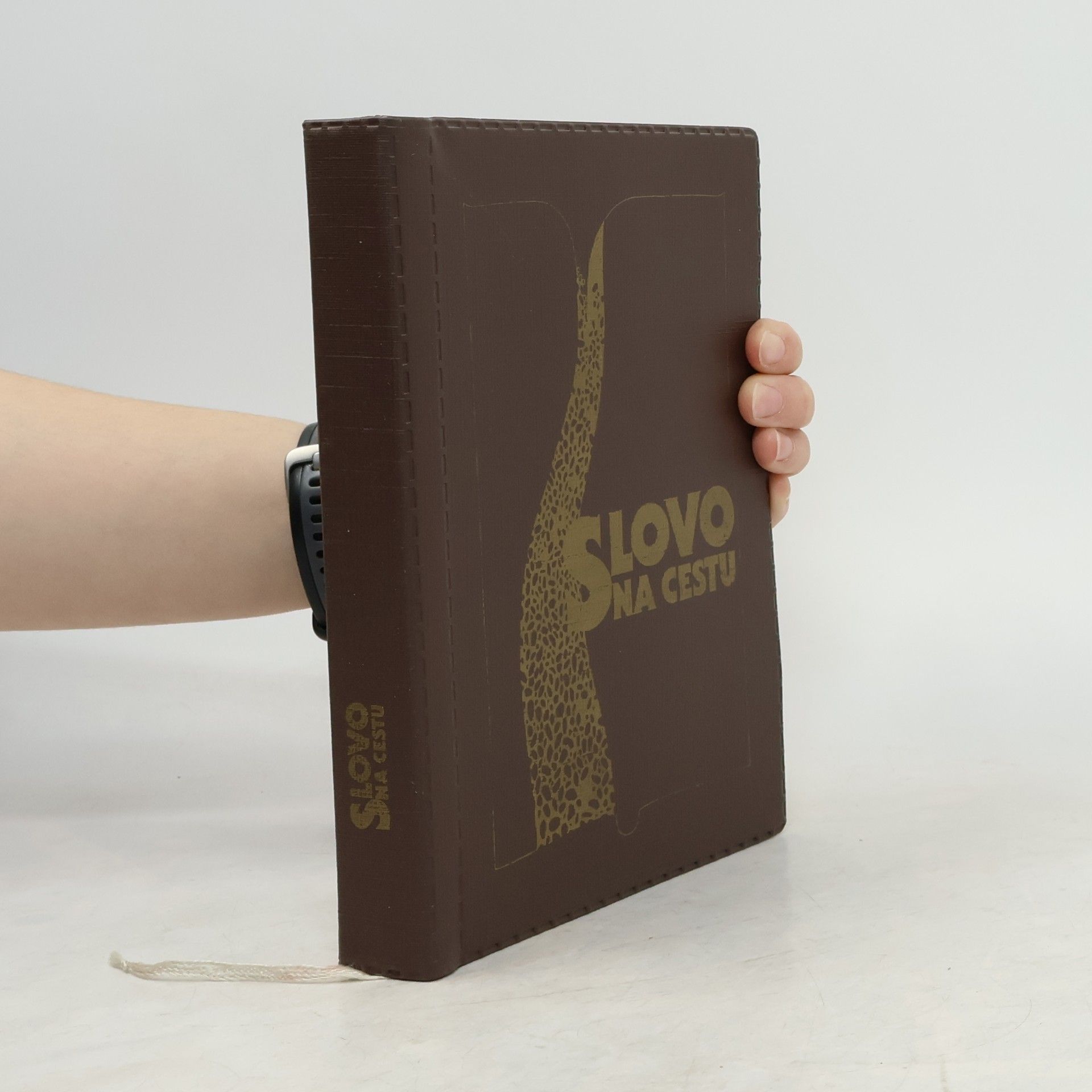 Various authors Slovo na cestu. Parafrázovaný text Nového zákona.