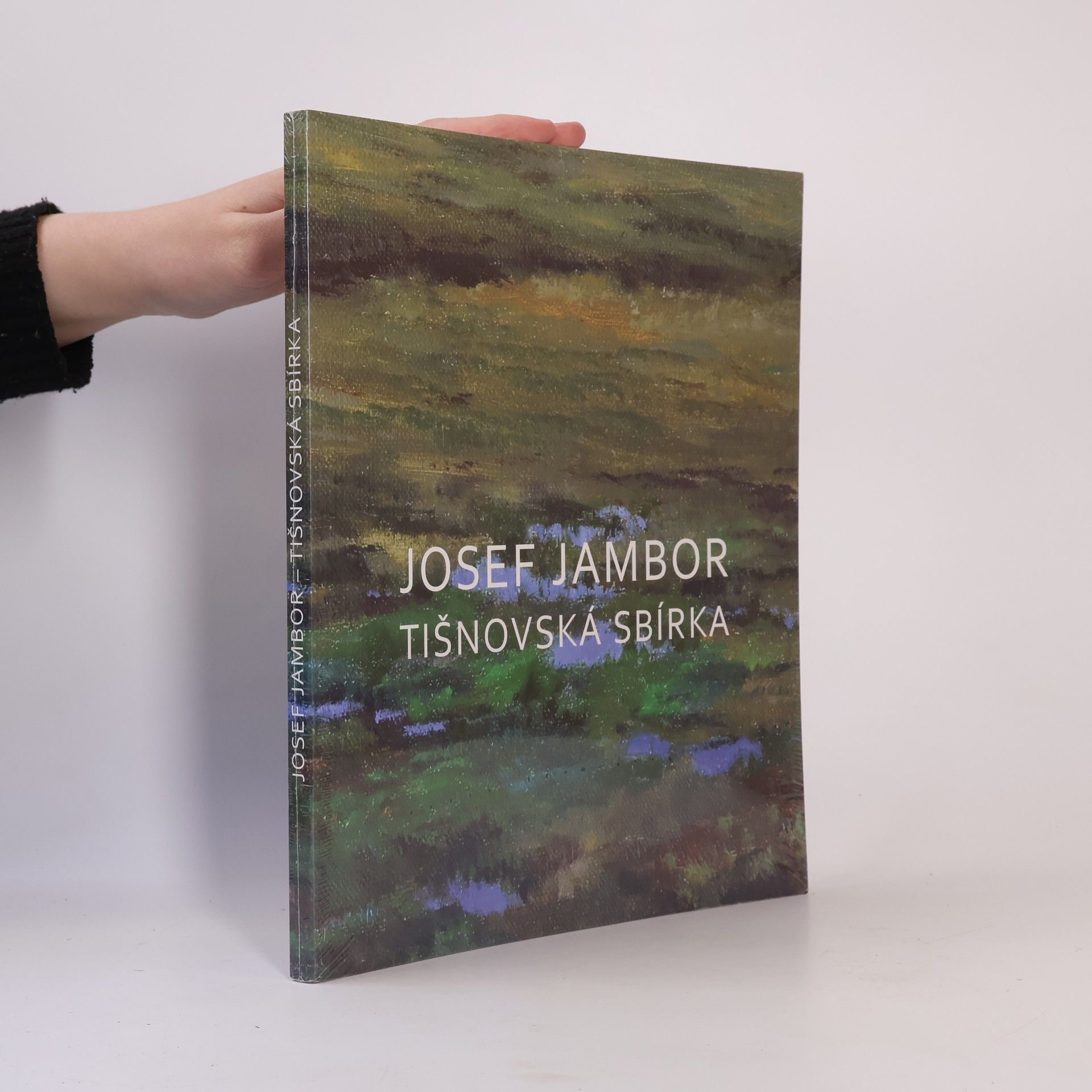 Václav Semerád Woodoo