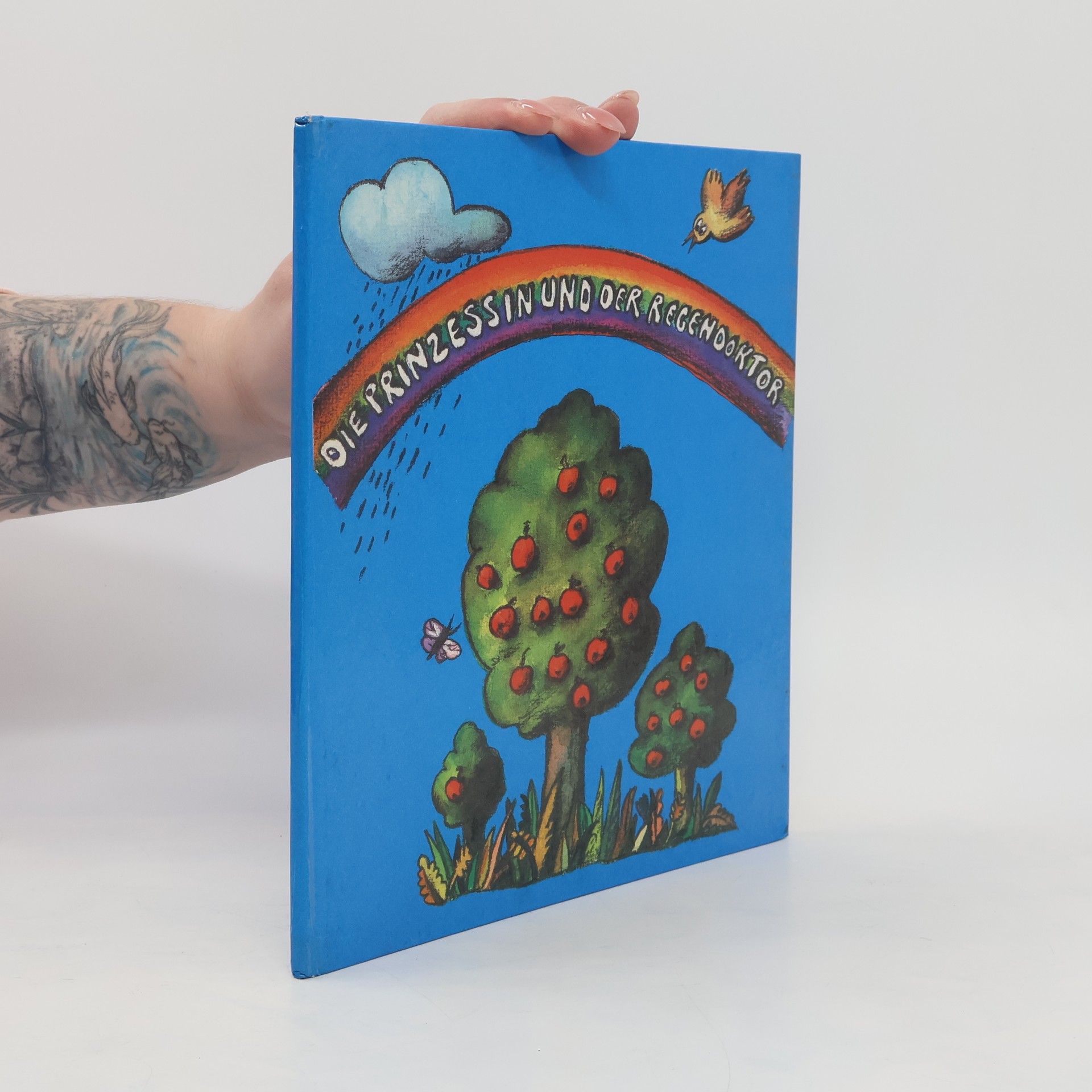 Auteurscollectief Die Prinzessin und der Regendoktor