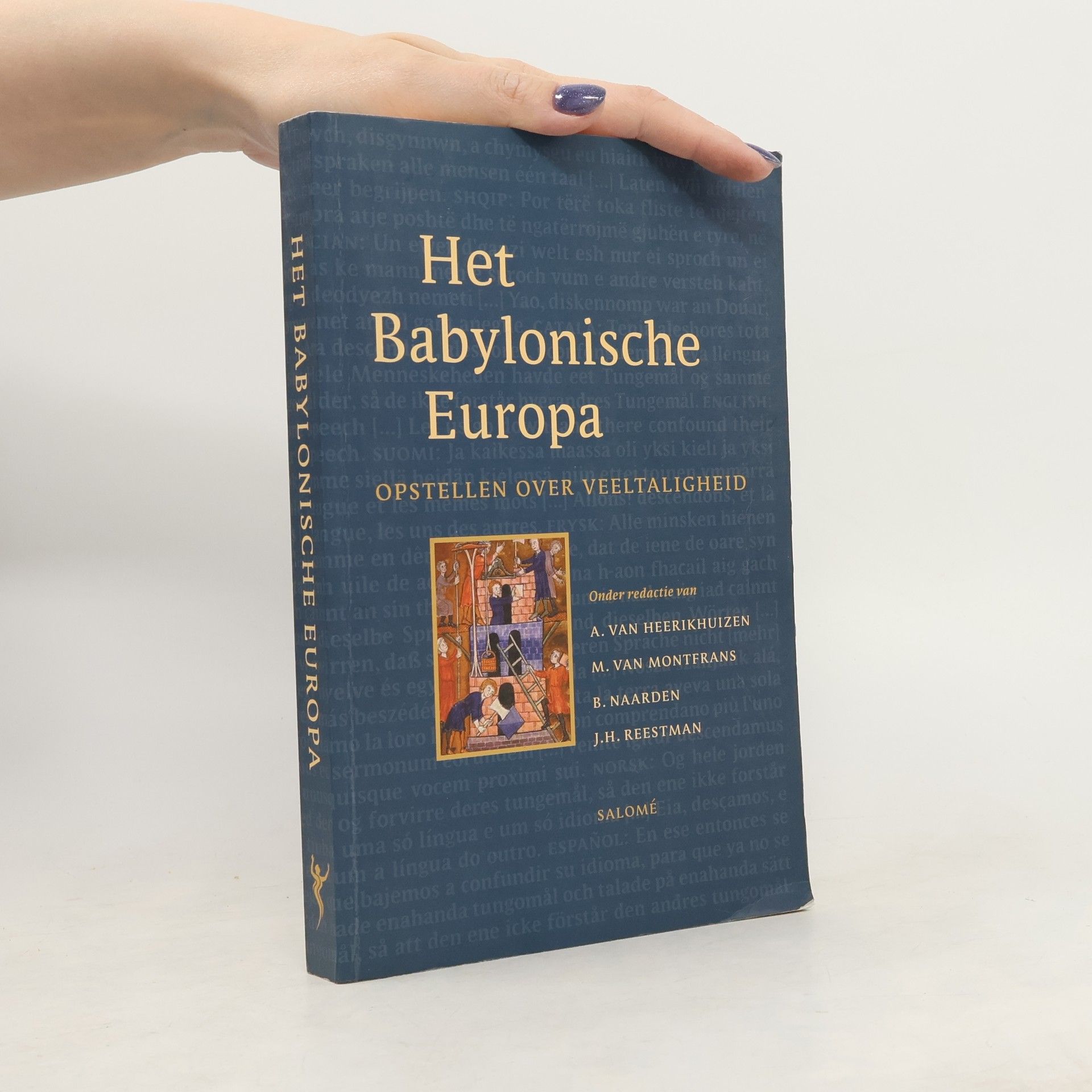 Annemarie van Heerikhuizen Het babylonische Europa