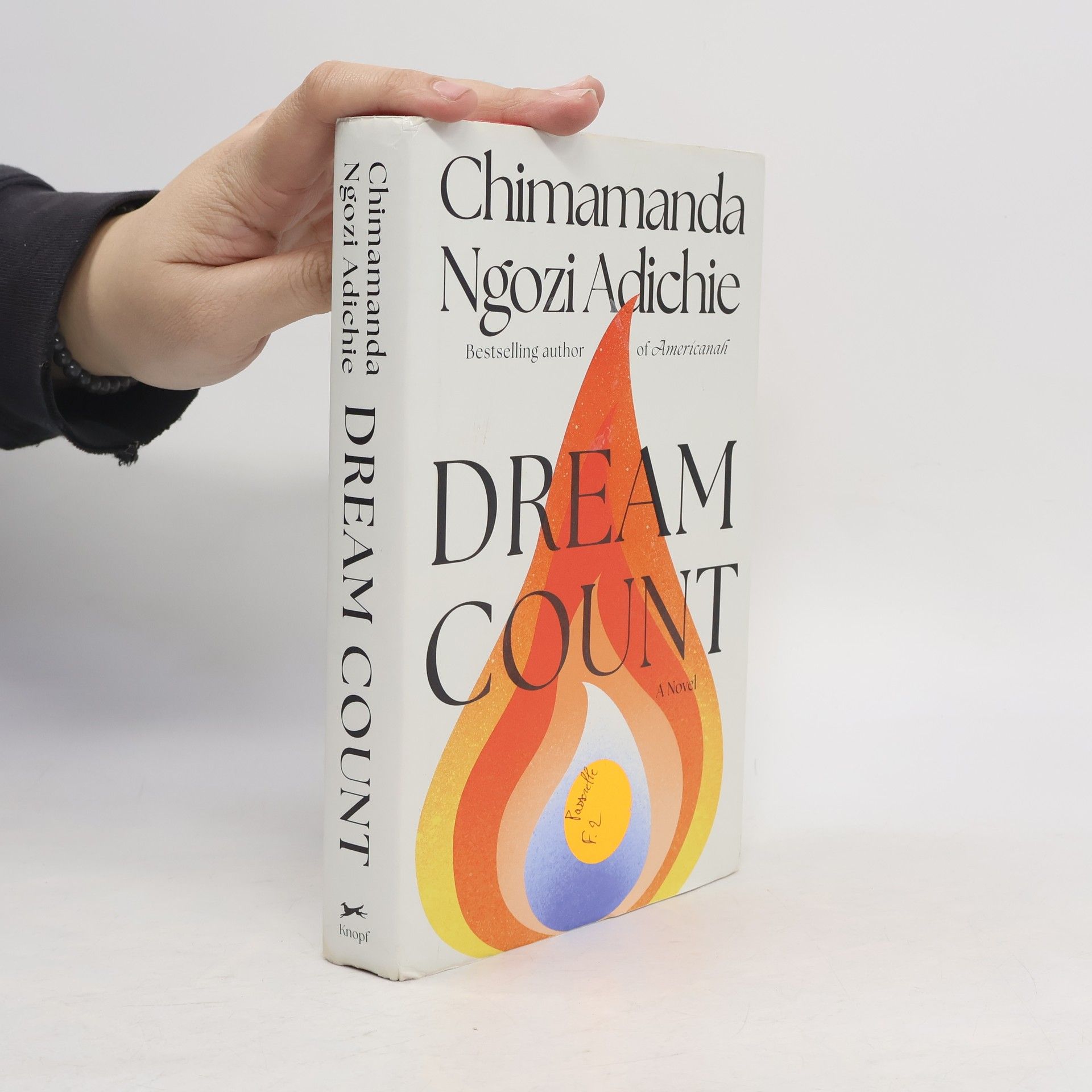 Chimamanda Ngozi Adichie Dream Count