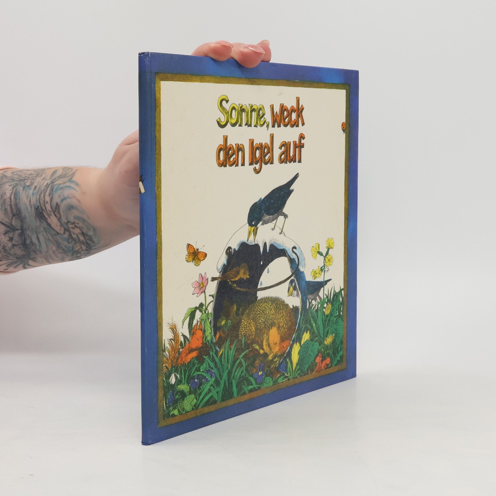 Auteurscollectief Sonne, weck den Igel auf