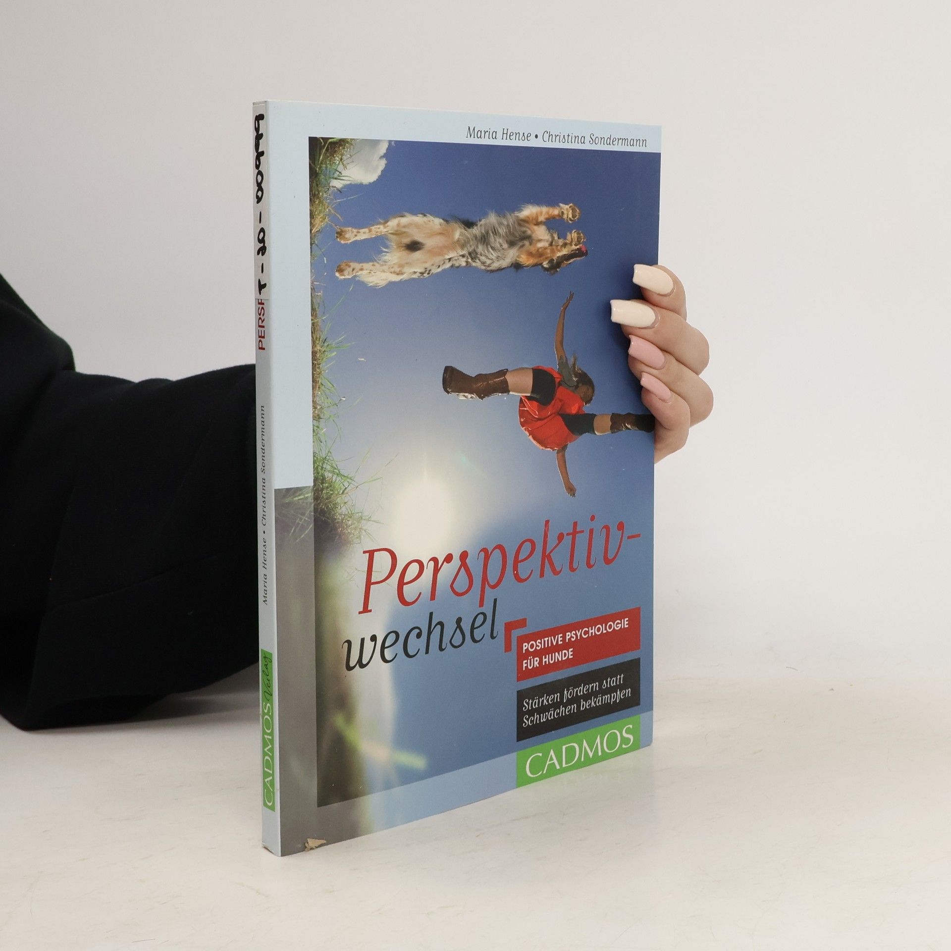 Maria Hense Perspektivwechsel