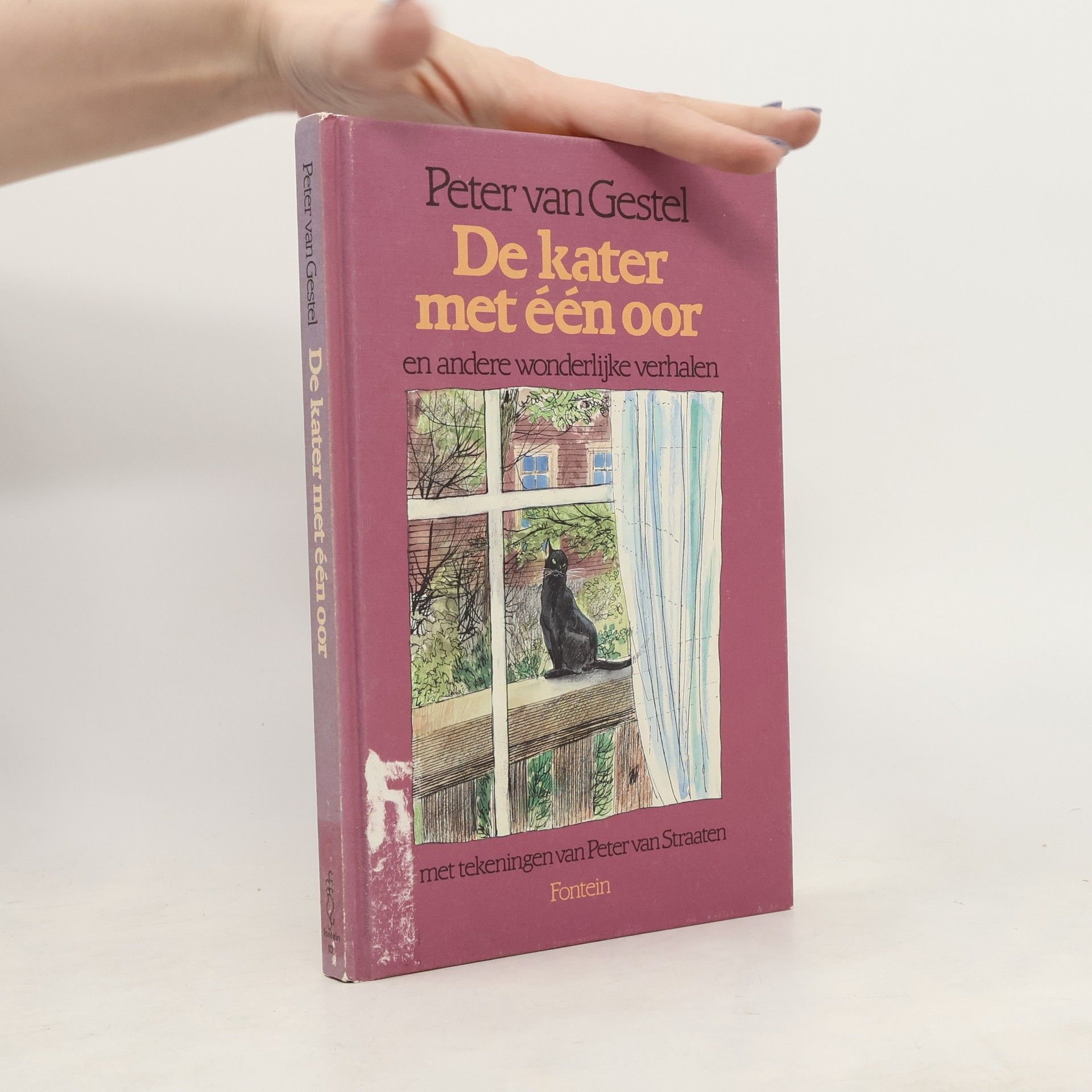 Peter van Gestel De kater met één oor en andere wonderlijke verhalen