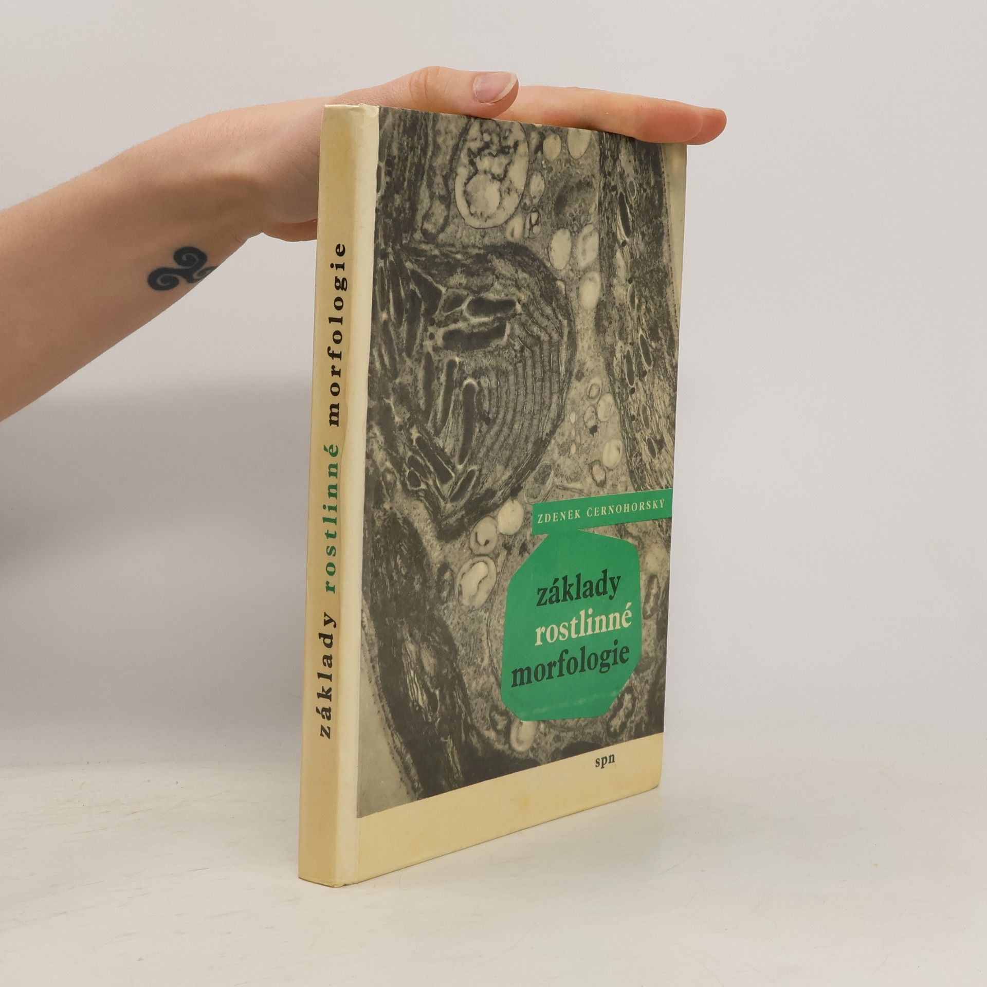 Zdeněk Černohorský Základy rostlinné morfologie