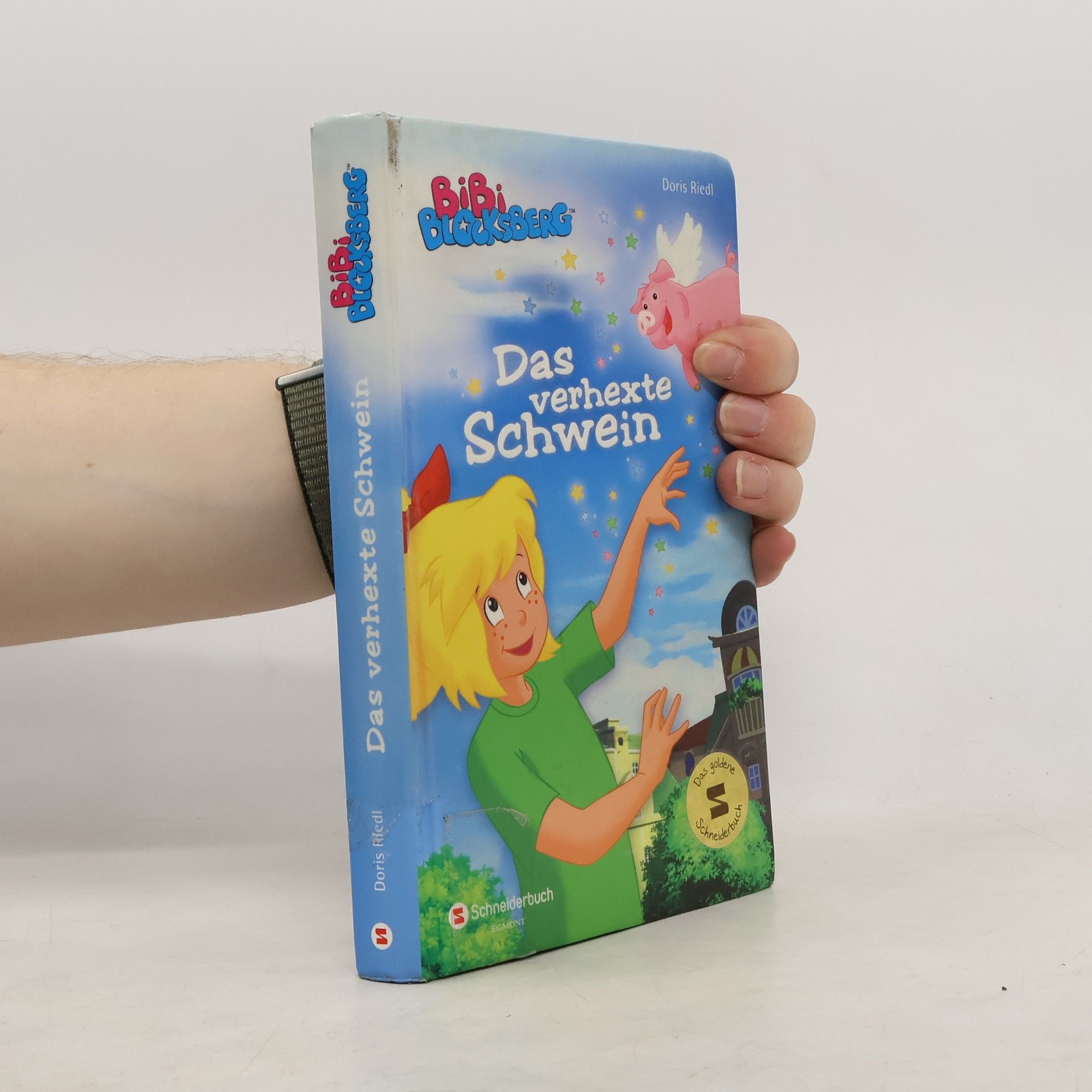 Doris Riedl Bibi Blocksberg - Das verhexte Schwein