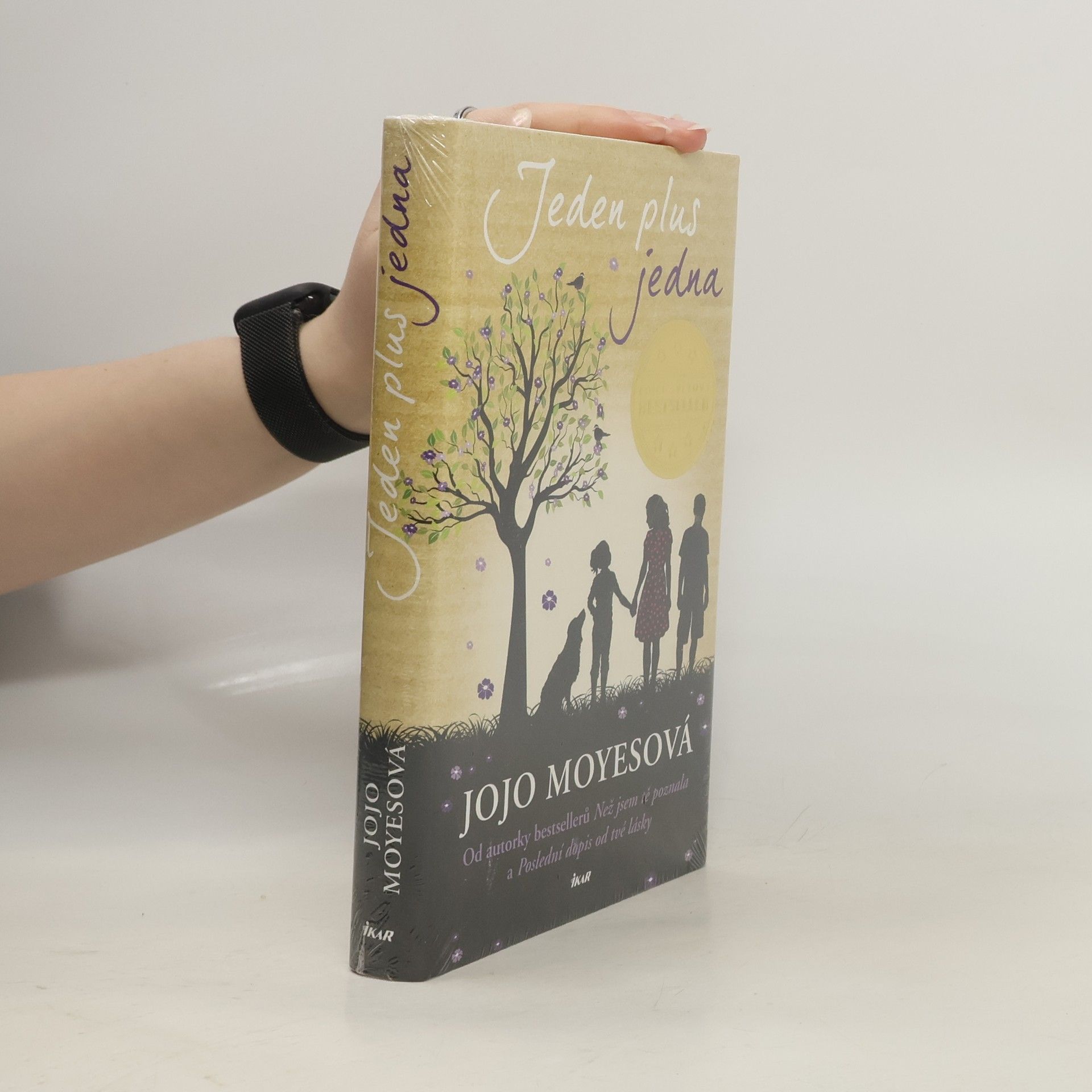 Jojo Moyes Jeden plus jedna