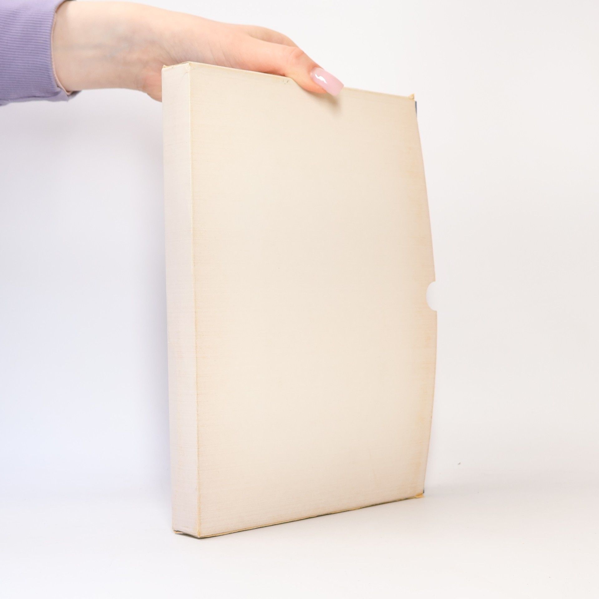 I maestri dei bronzi di San Zeno