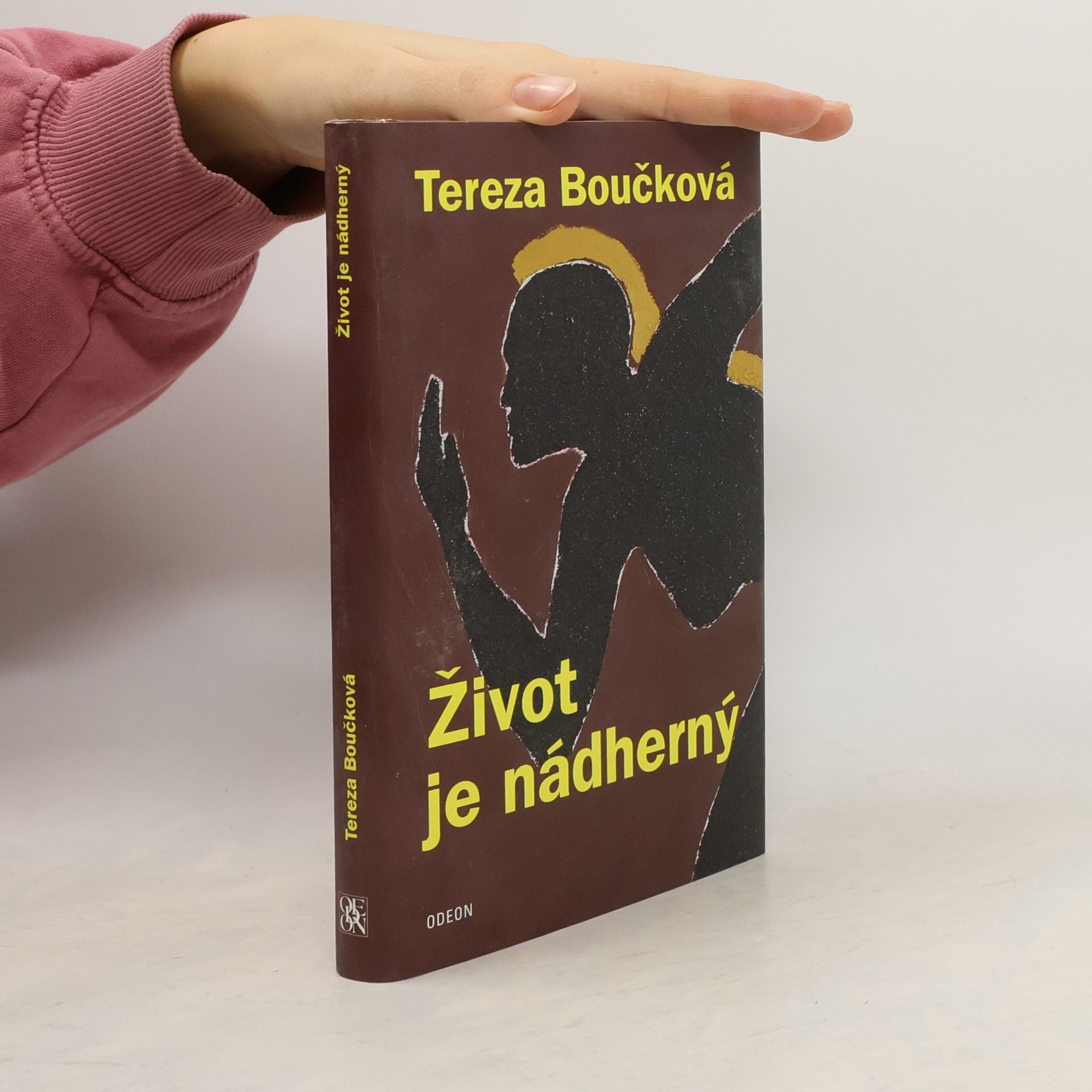 Tereza Boučková Život je nádherný