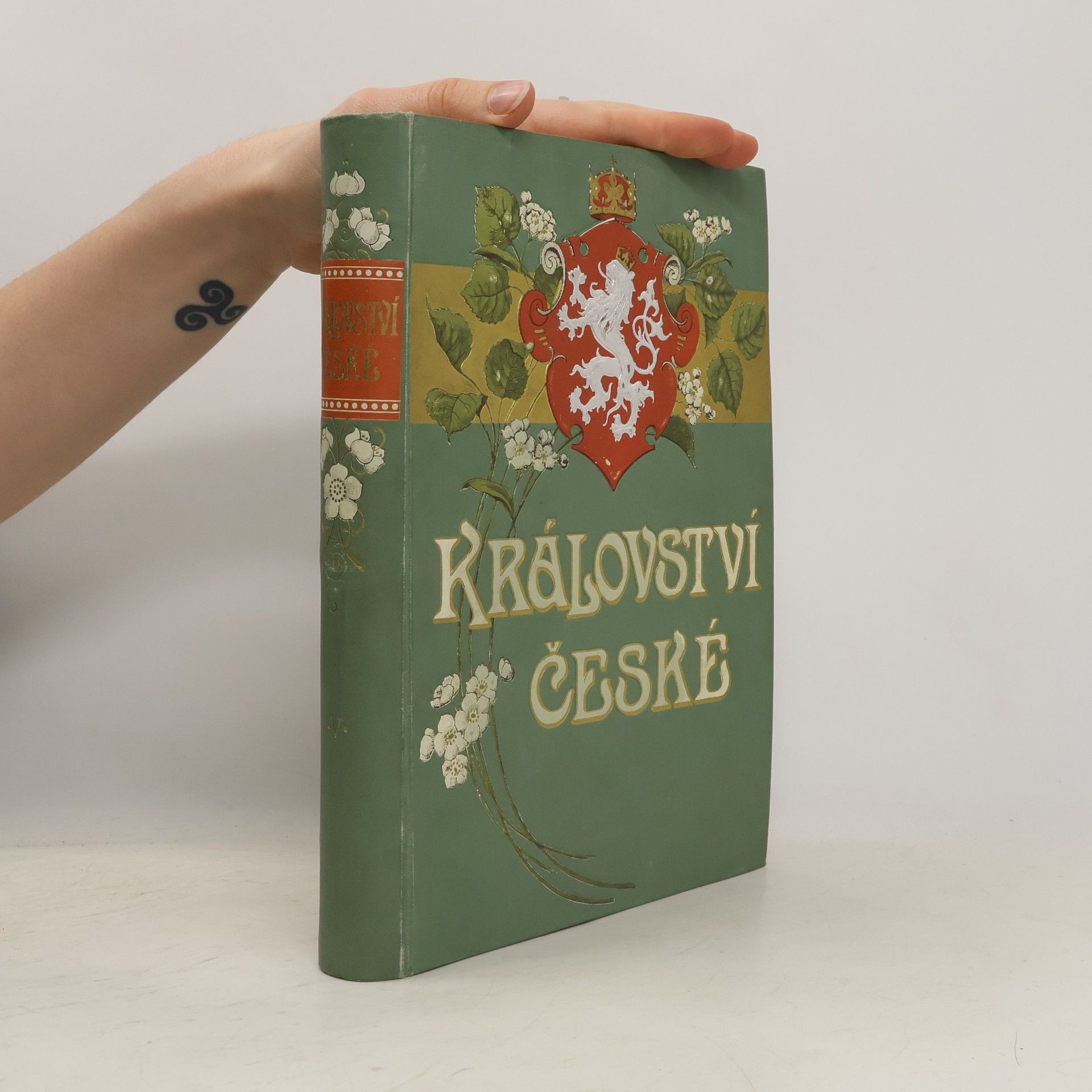 Autorenkollektiv Království české V. - východní Čechy