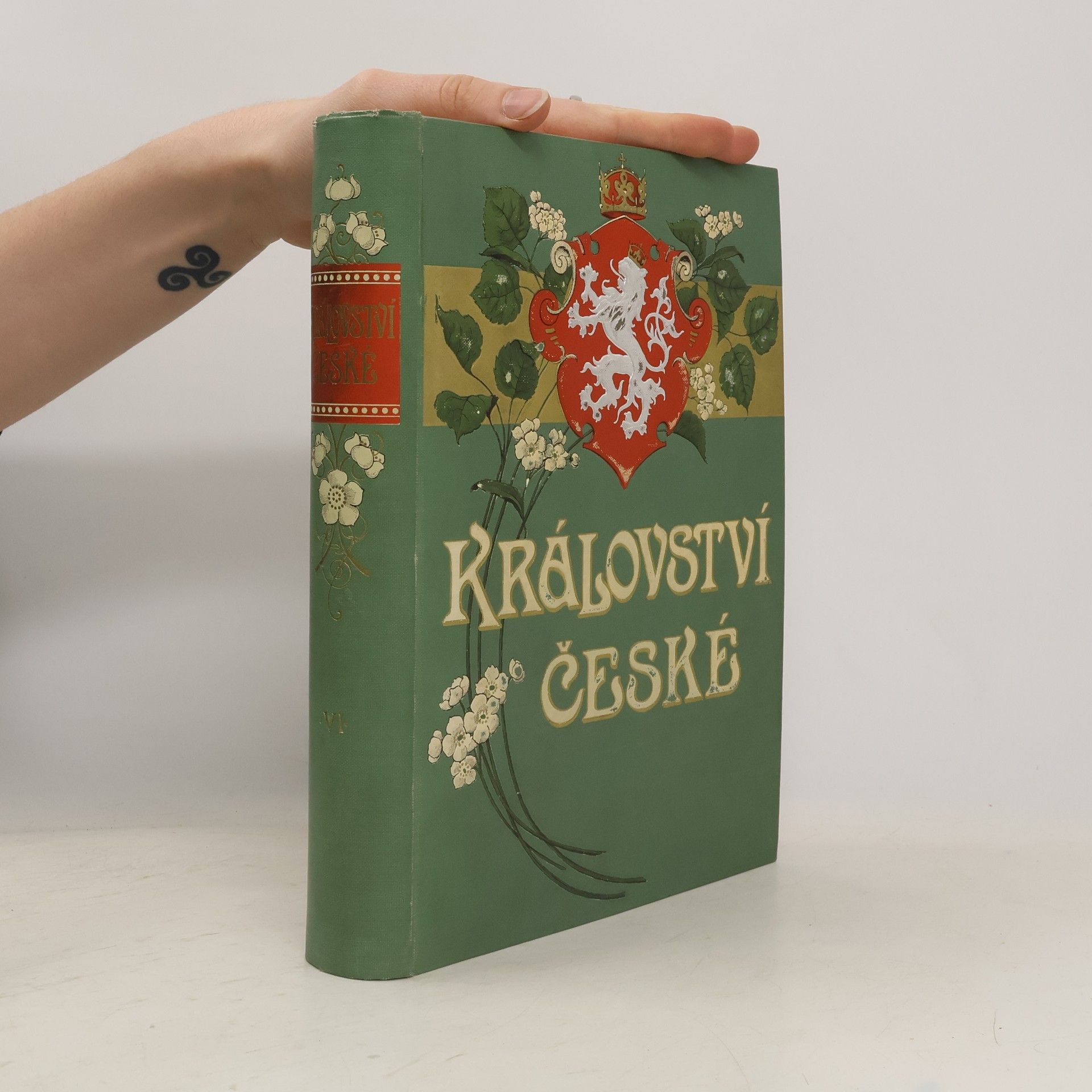 Autorenkollektiv Království české V. - východní Čechy