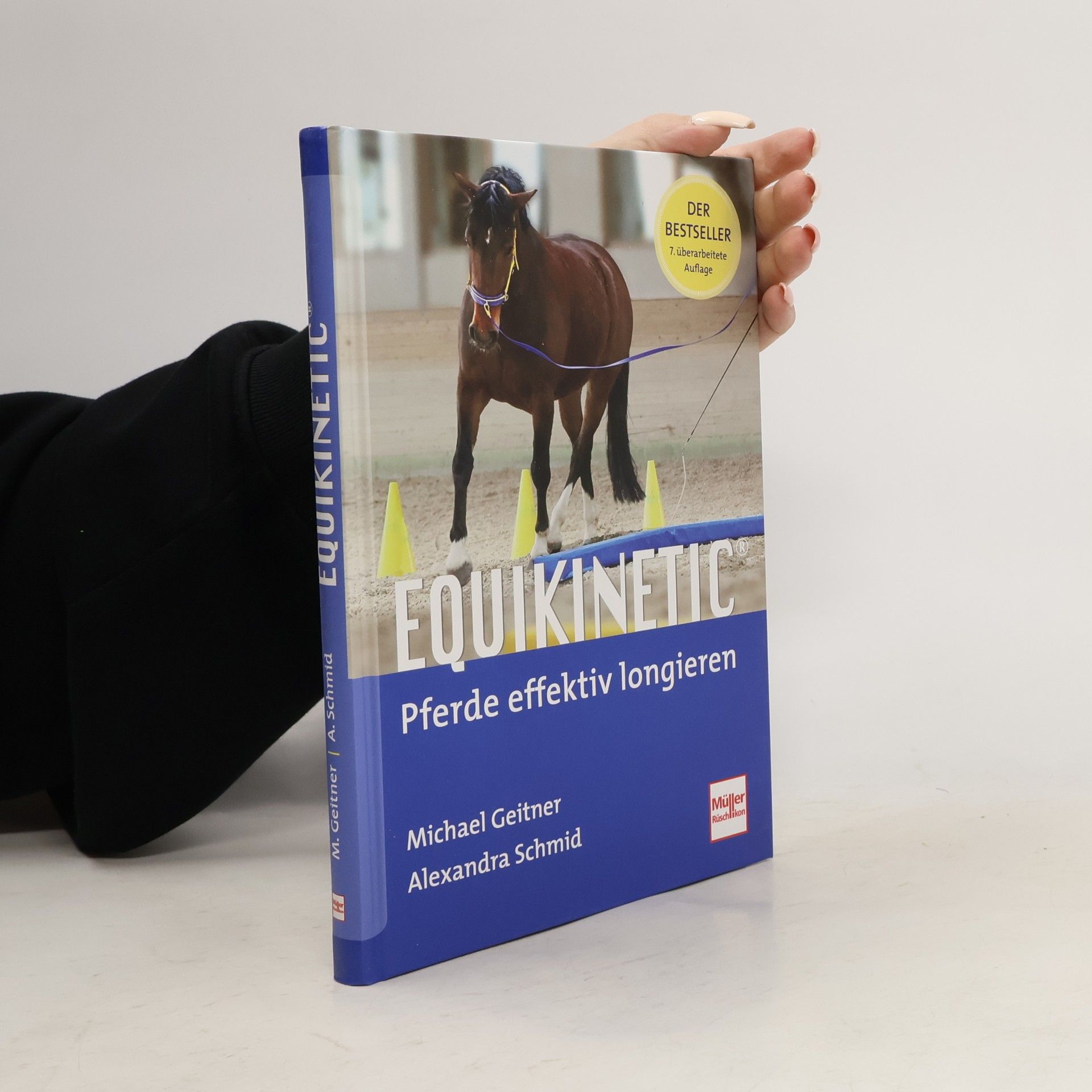 Michael Geitner Equikinetic