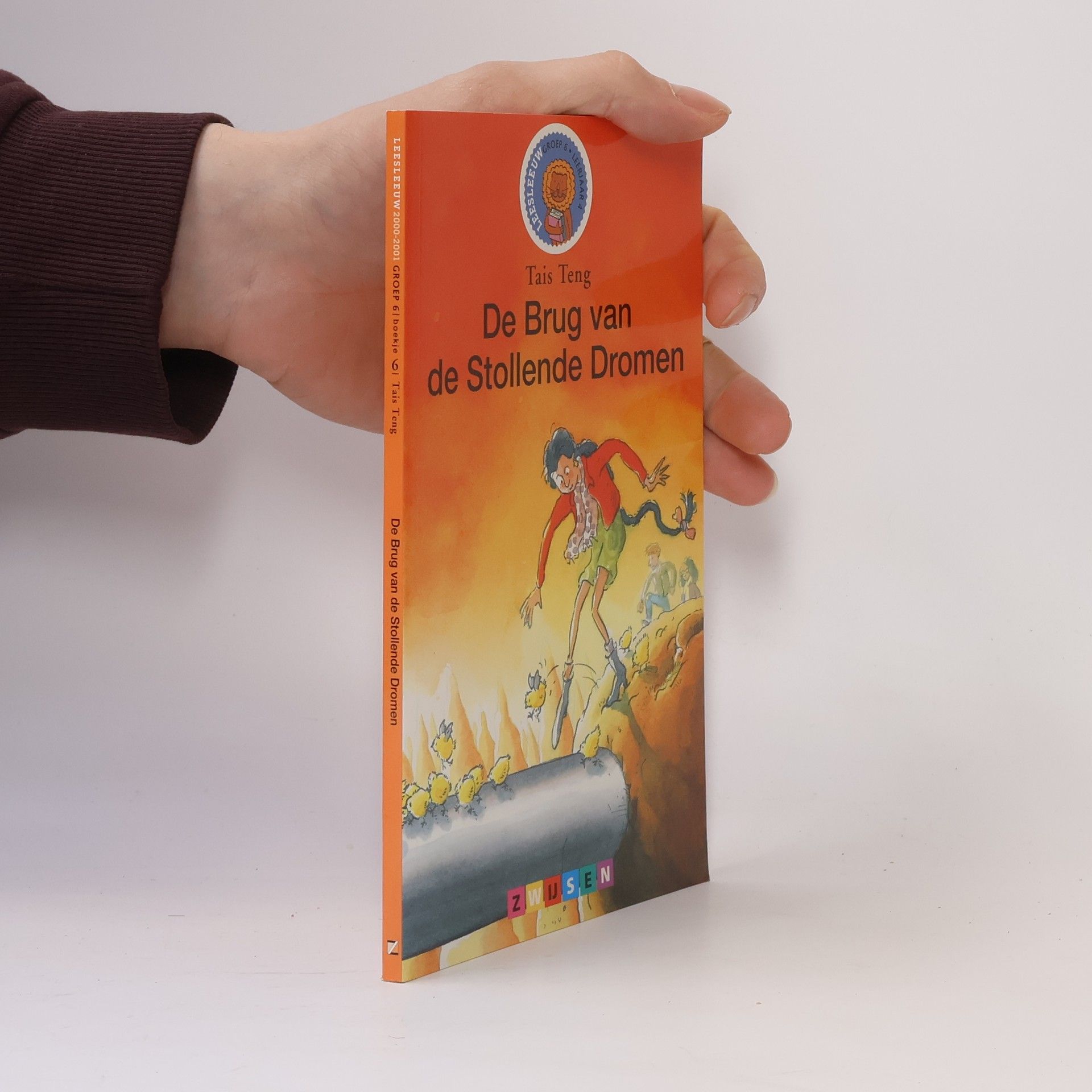 De brug van de stollende dromen