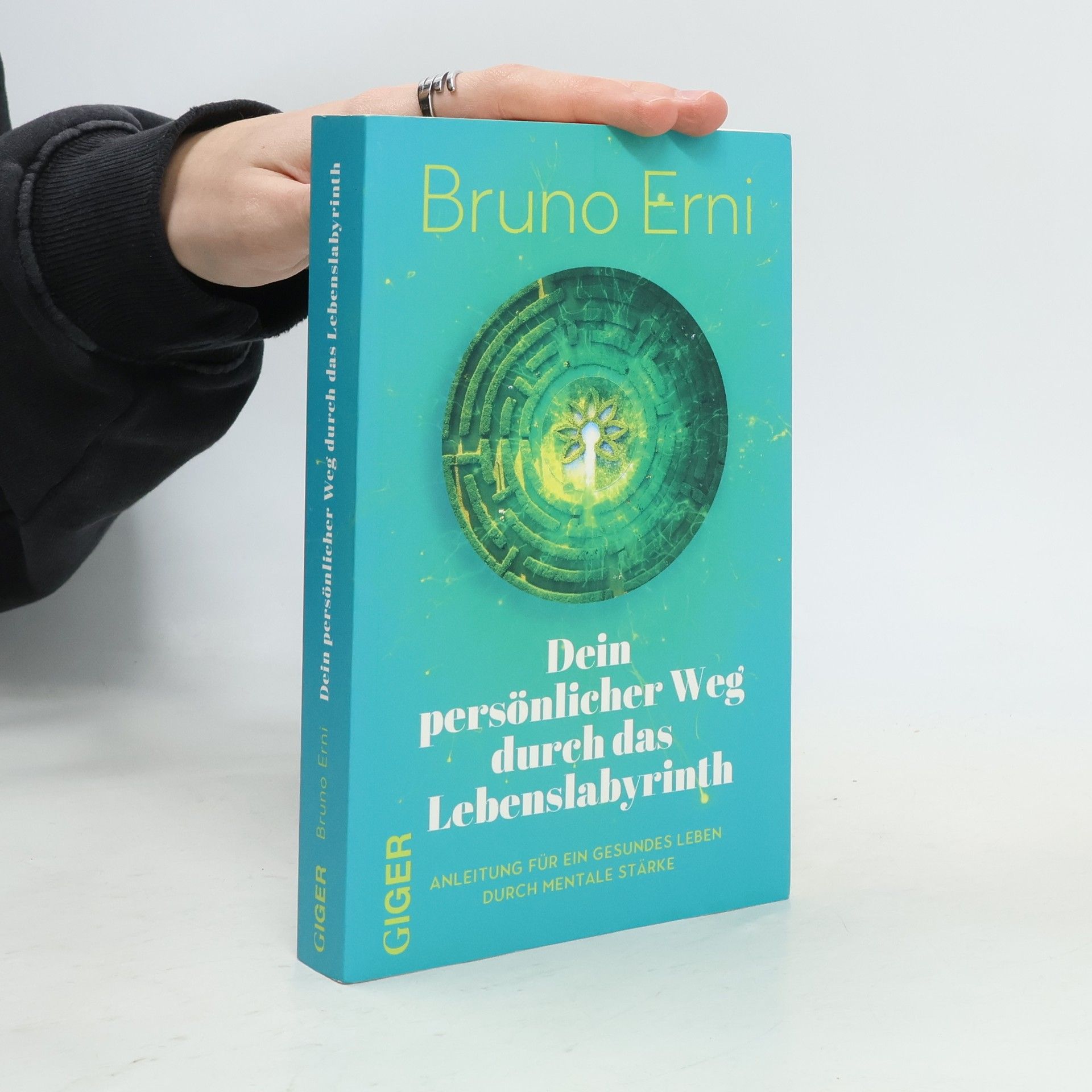 Bruno Erni Dein persönlicher Weg durch das Lebenslabyrinth