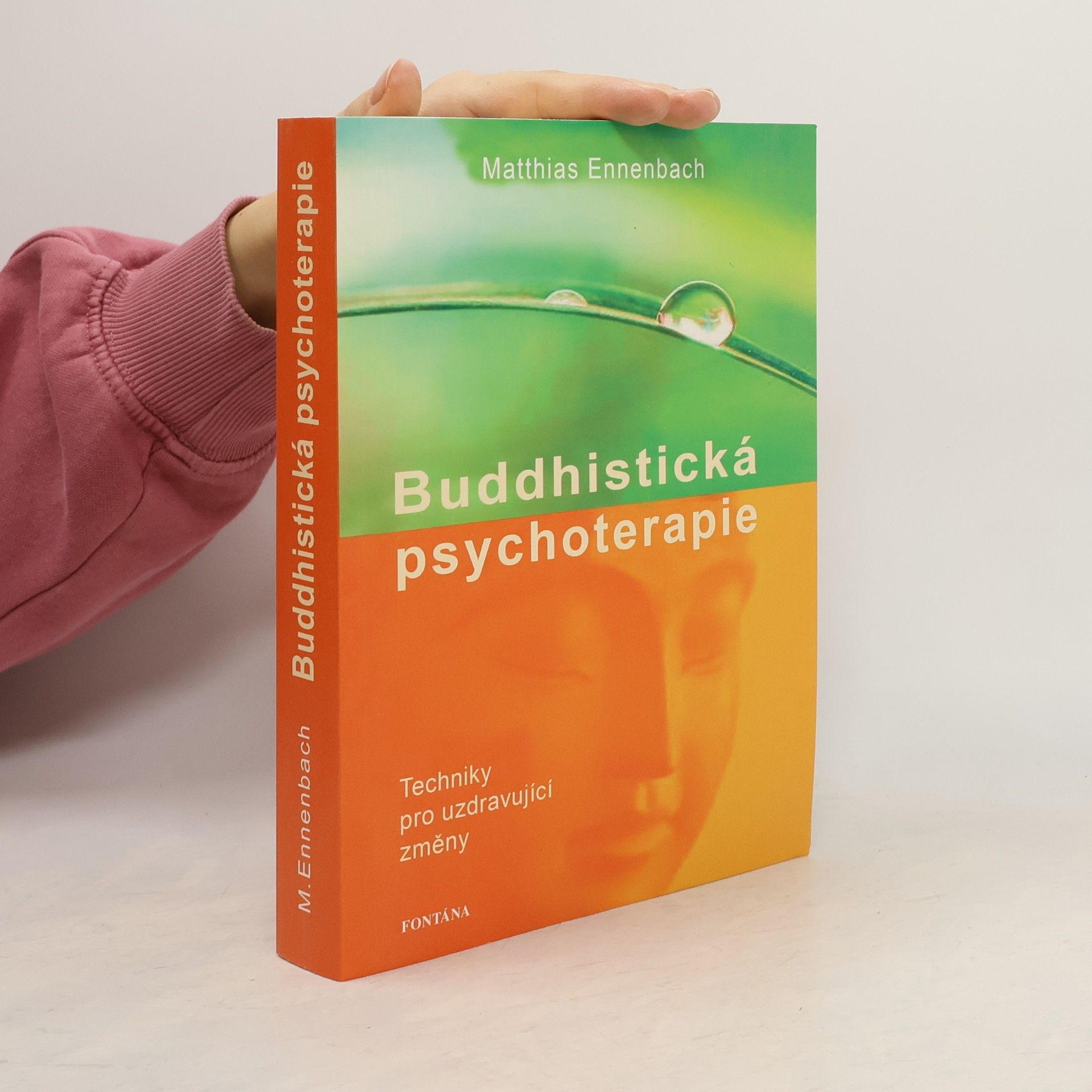 Matthias Ennenbach Buddhistická psychoterapie - Techniky pro uzdravující změny
