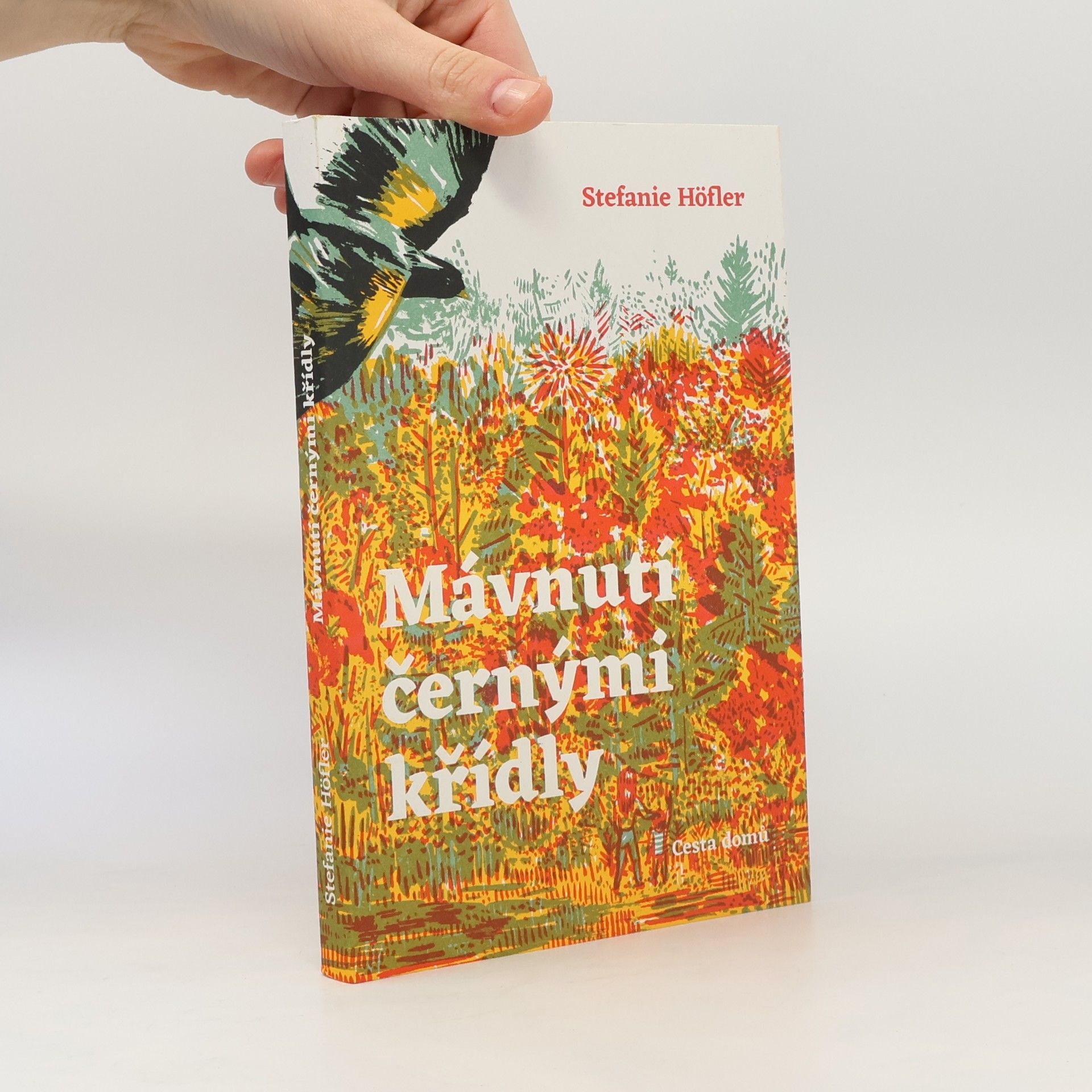 Stefanie Höfler Mávnutí černými křídly