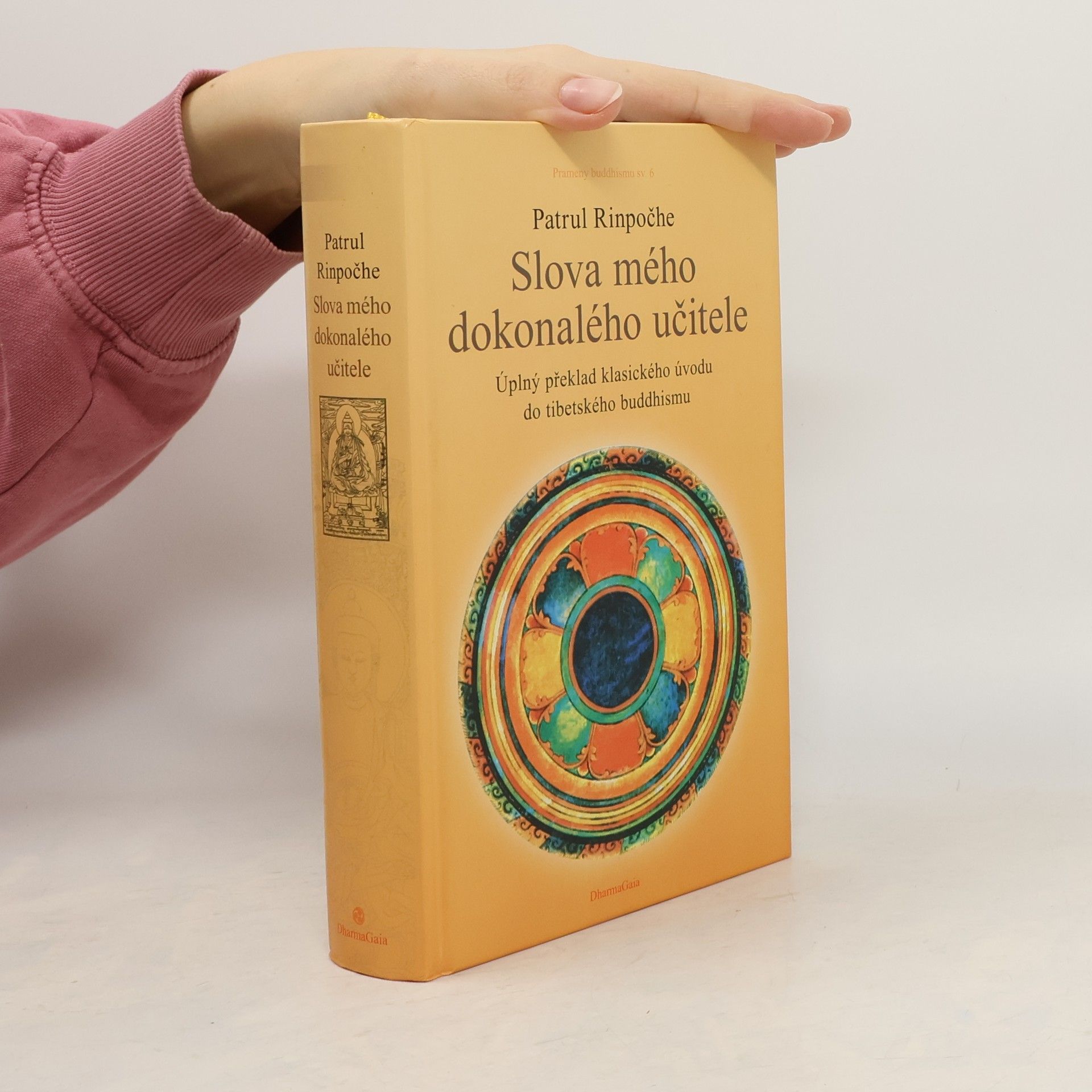 Patrul Rinpočhe Slova mého dokonalého učitele