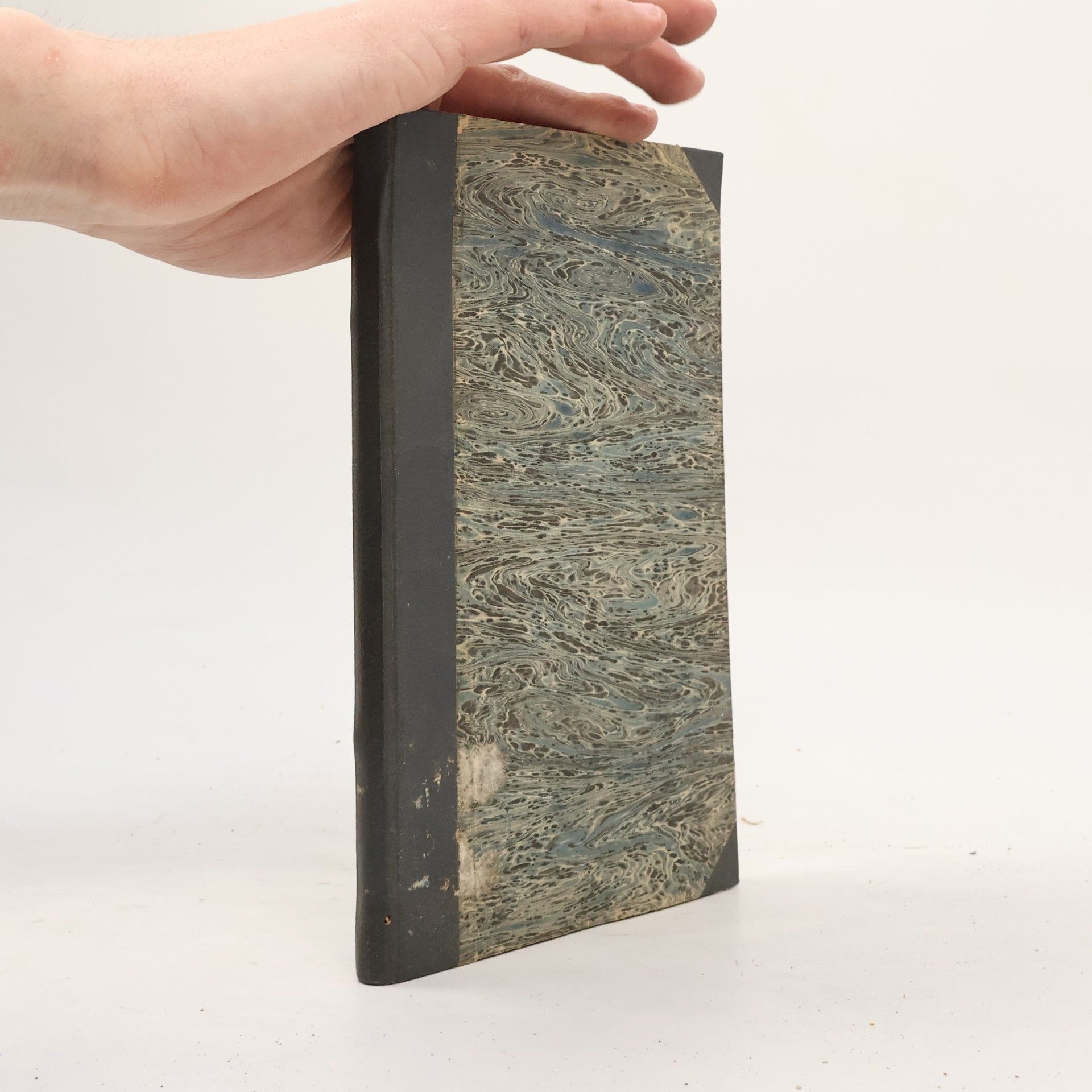 Petr Raichl Maternice