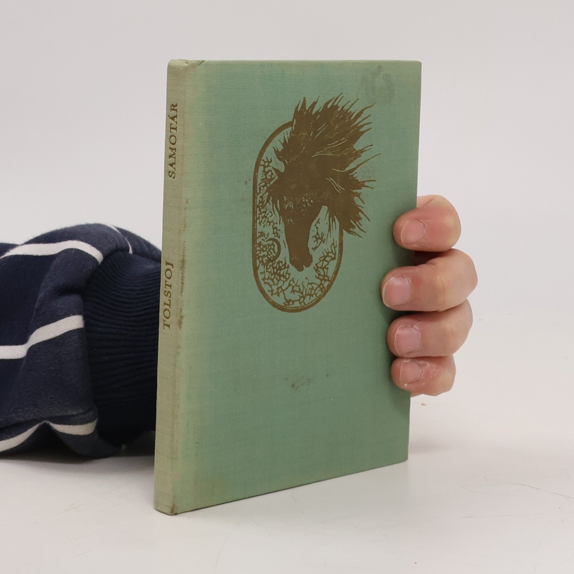 Lew Nikolajewitsch Tolstoi Samotár