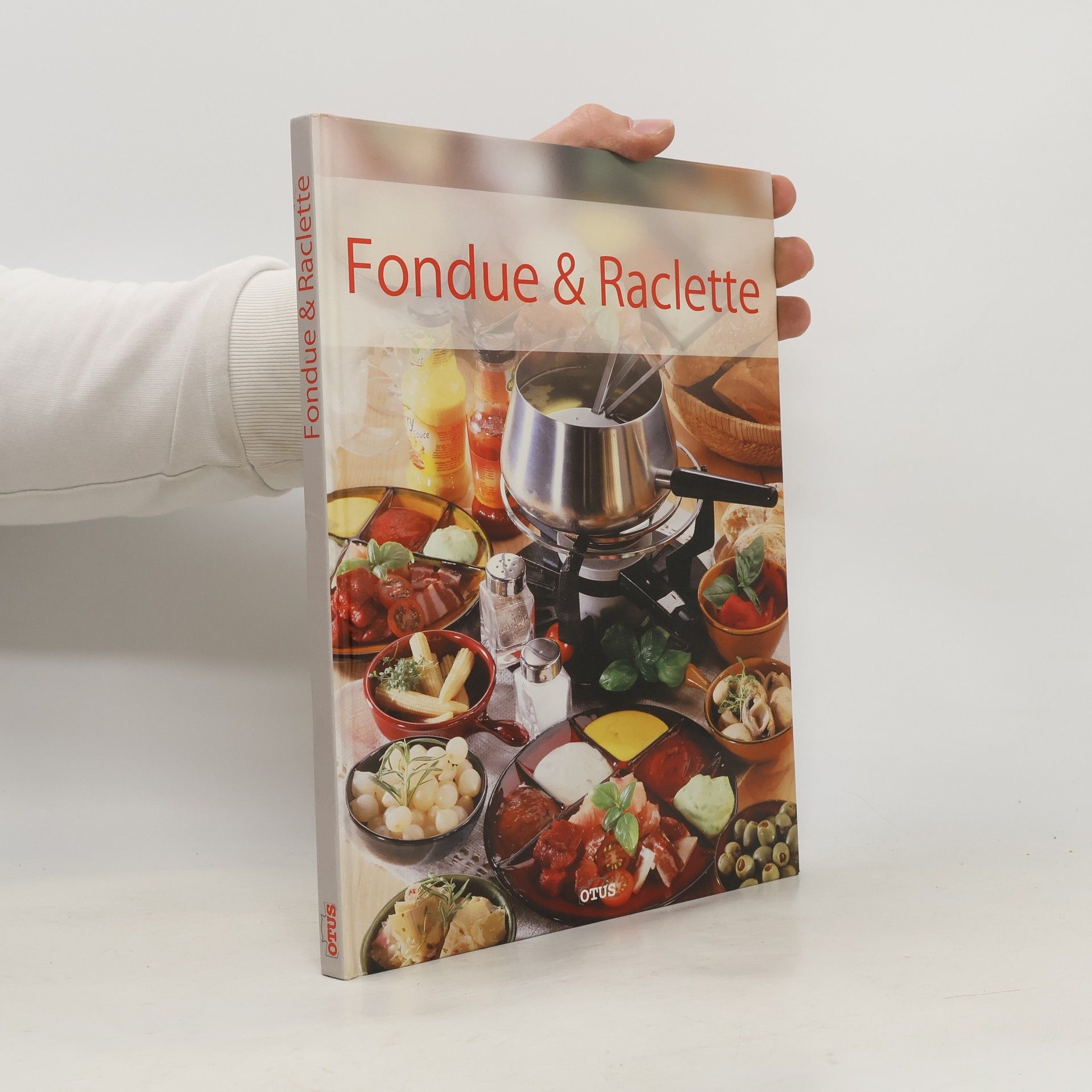 Kolektív autorov Fondue & Raclette