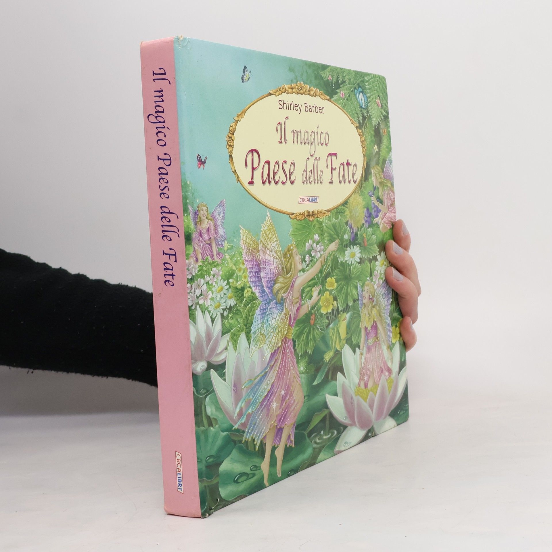 Shirley Barber Il magico paese delle fate. Ediz. illustrata