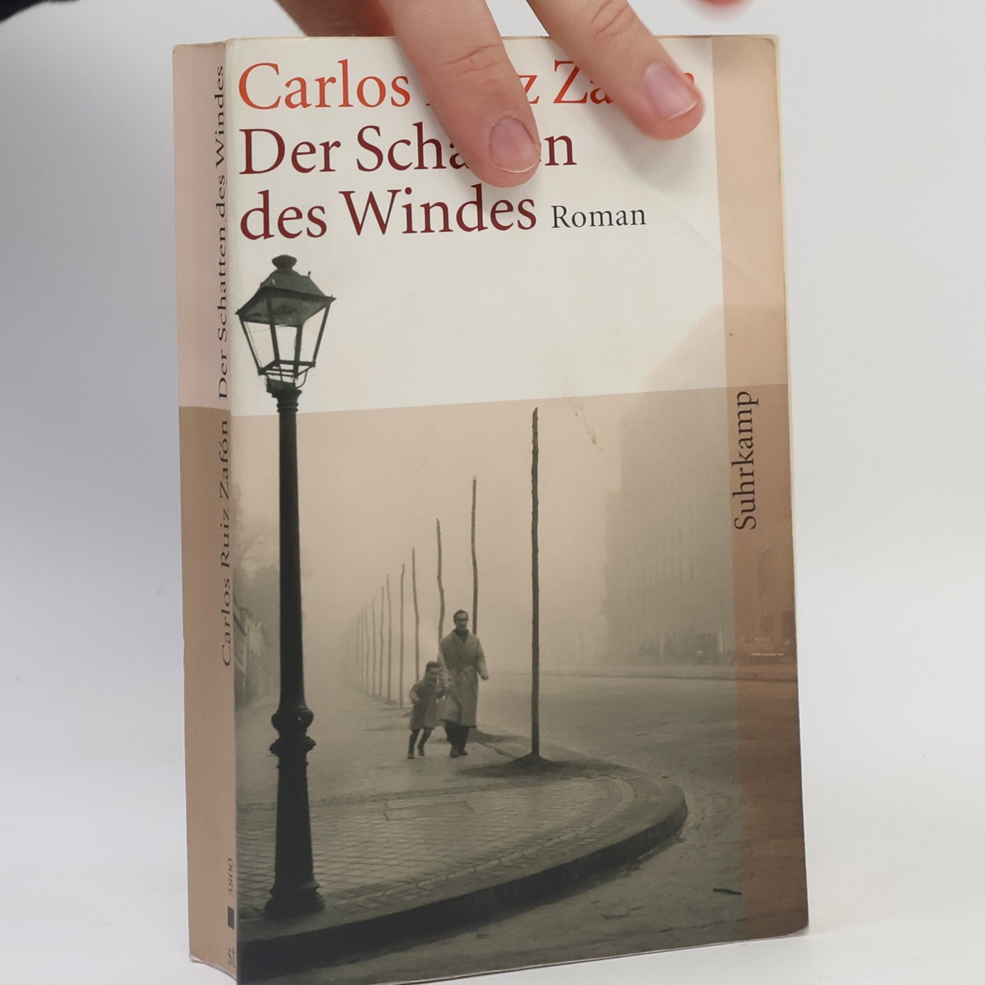 Carlos Ruiz Zafón Der Schatten des Windes