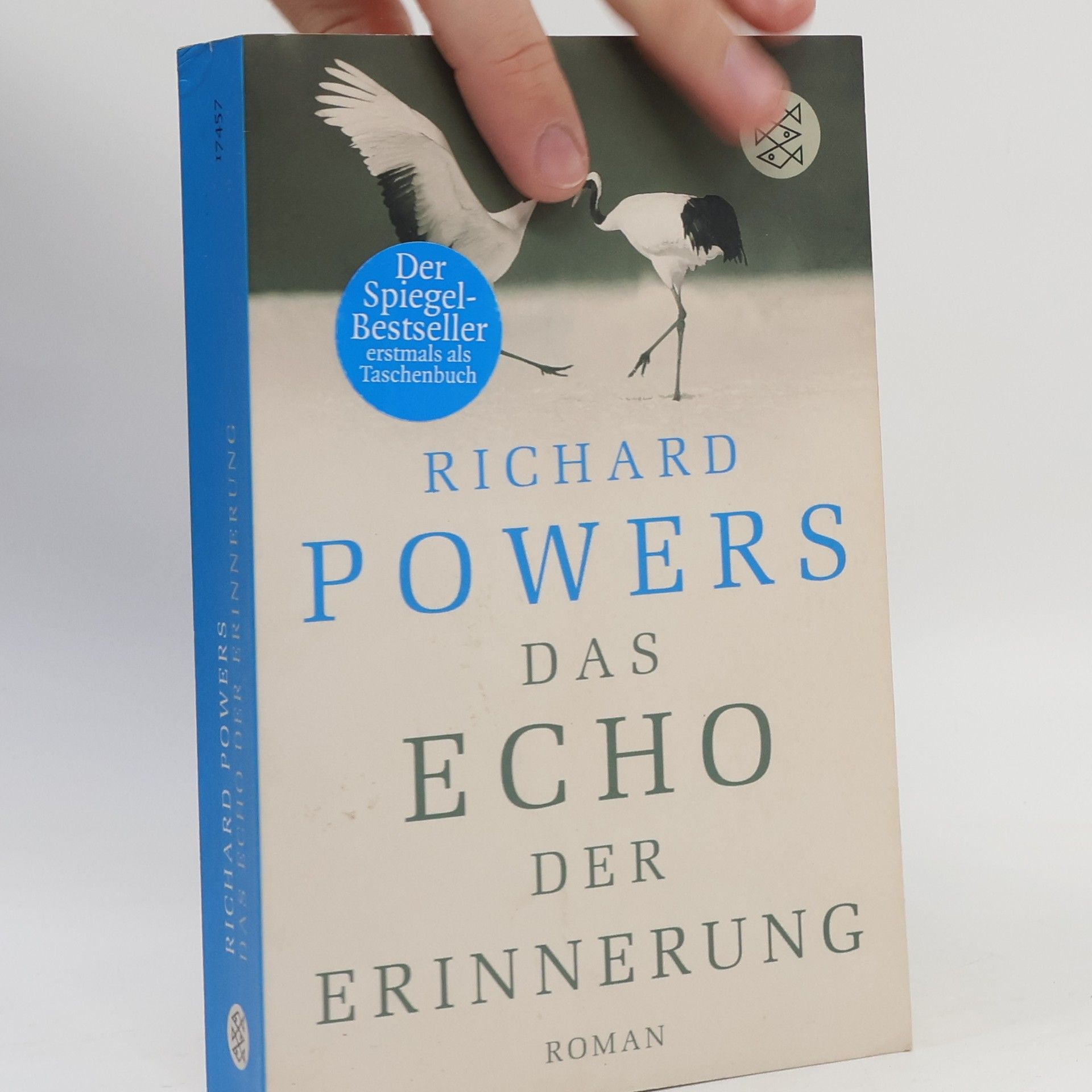 Richard Powers Das Echo der Erinnerung