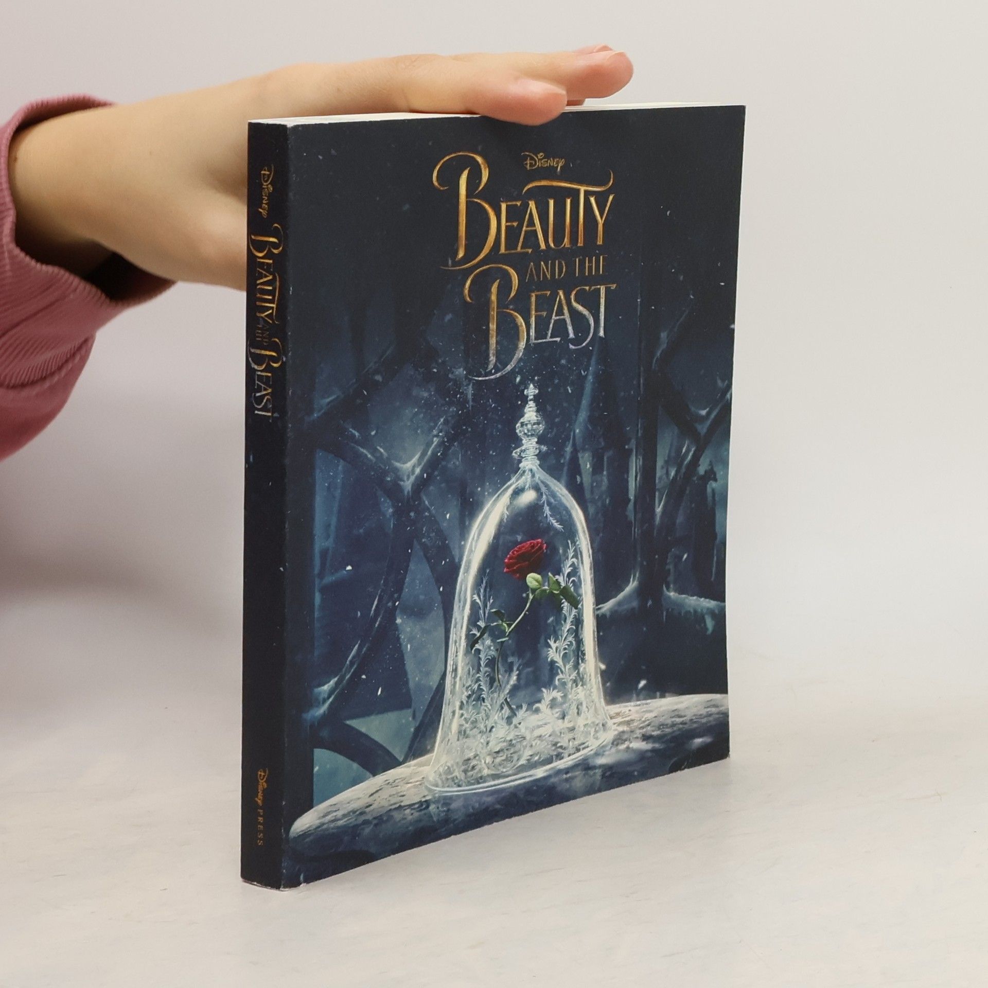 Kolektív autorov Beauty and the beast