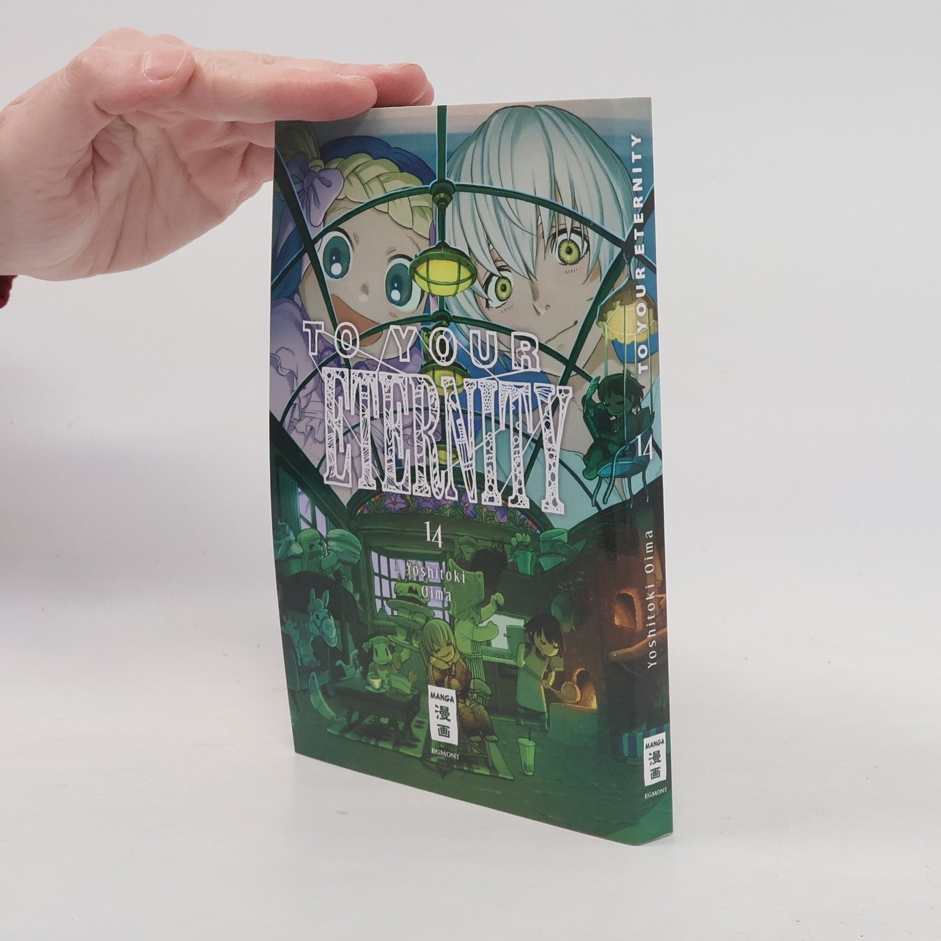 Yoshitoki Ōima To Your Eternity 14