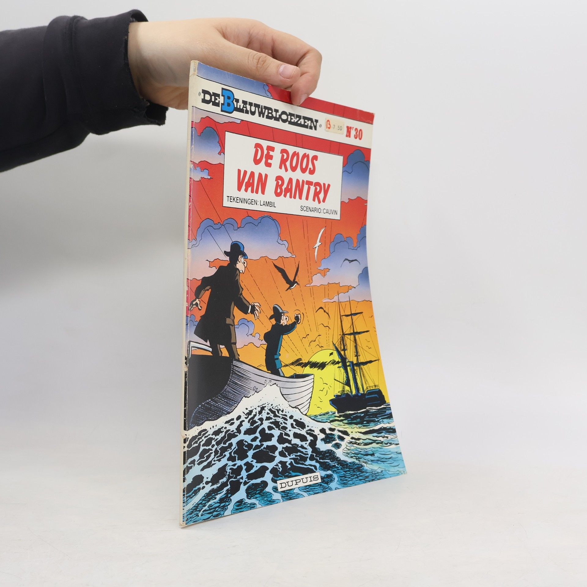 De Blauwbloezen - 30: De Roos van Bantry