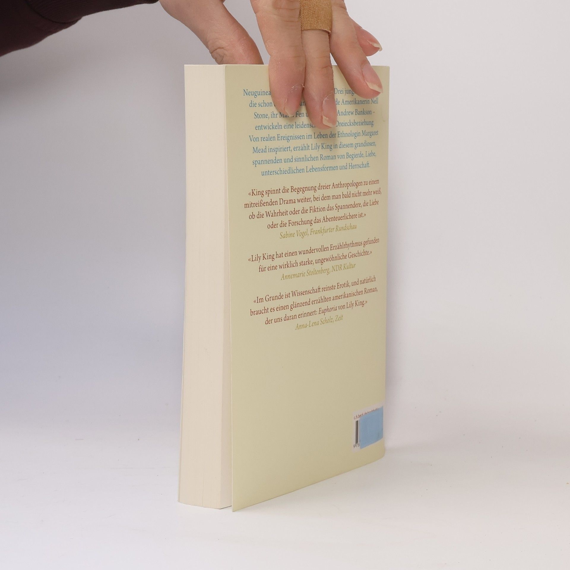 Monique Truong Das Buch vom Salz