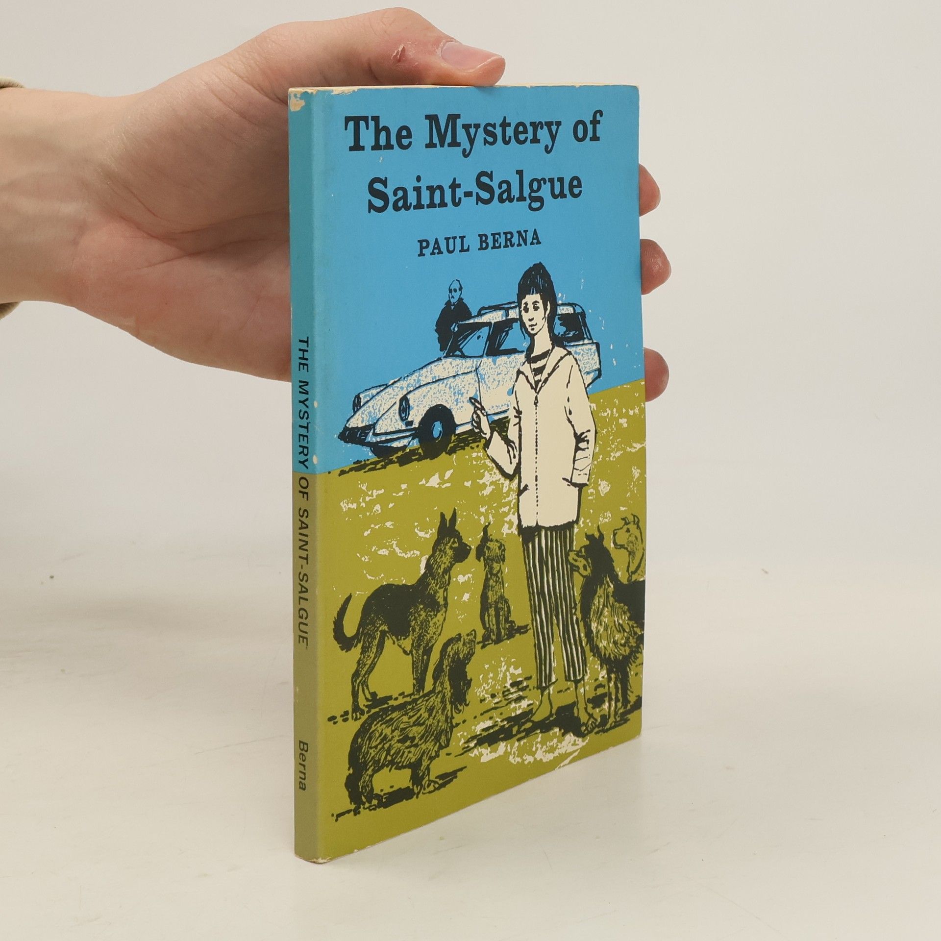 Paul Berna The Mystery of Saint-Salgue