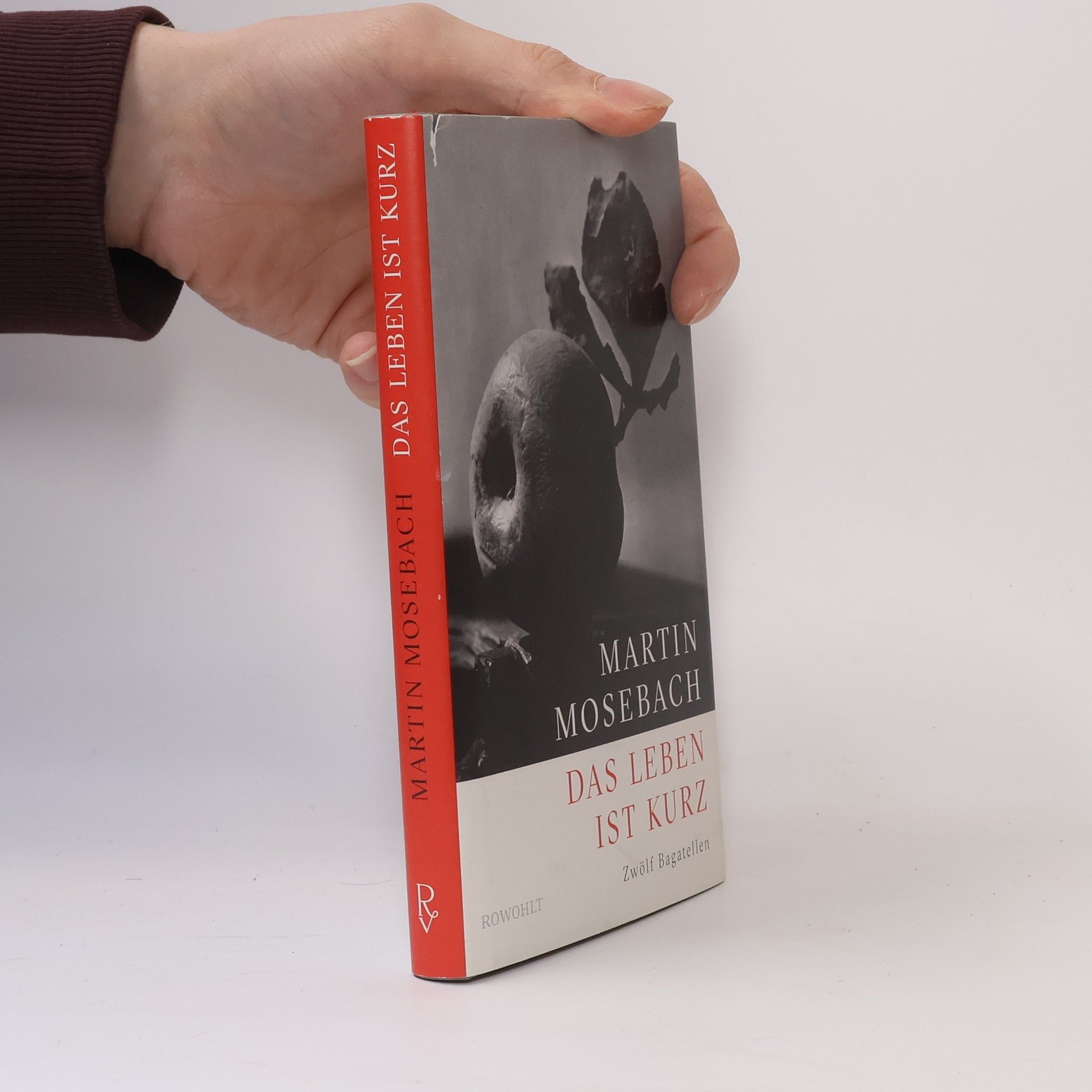 Martin Mosebach Das Leben ist kurz