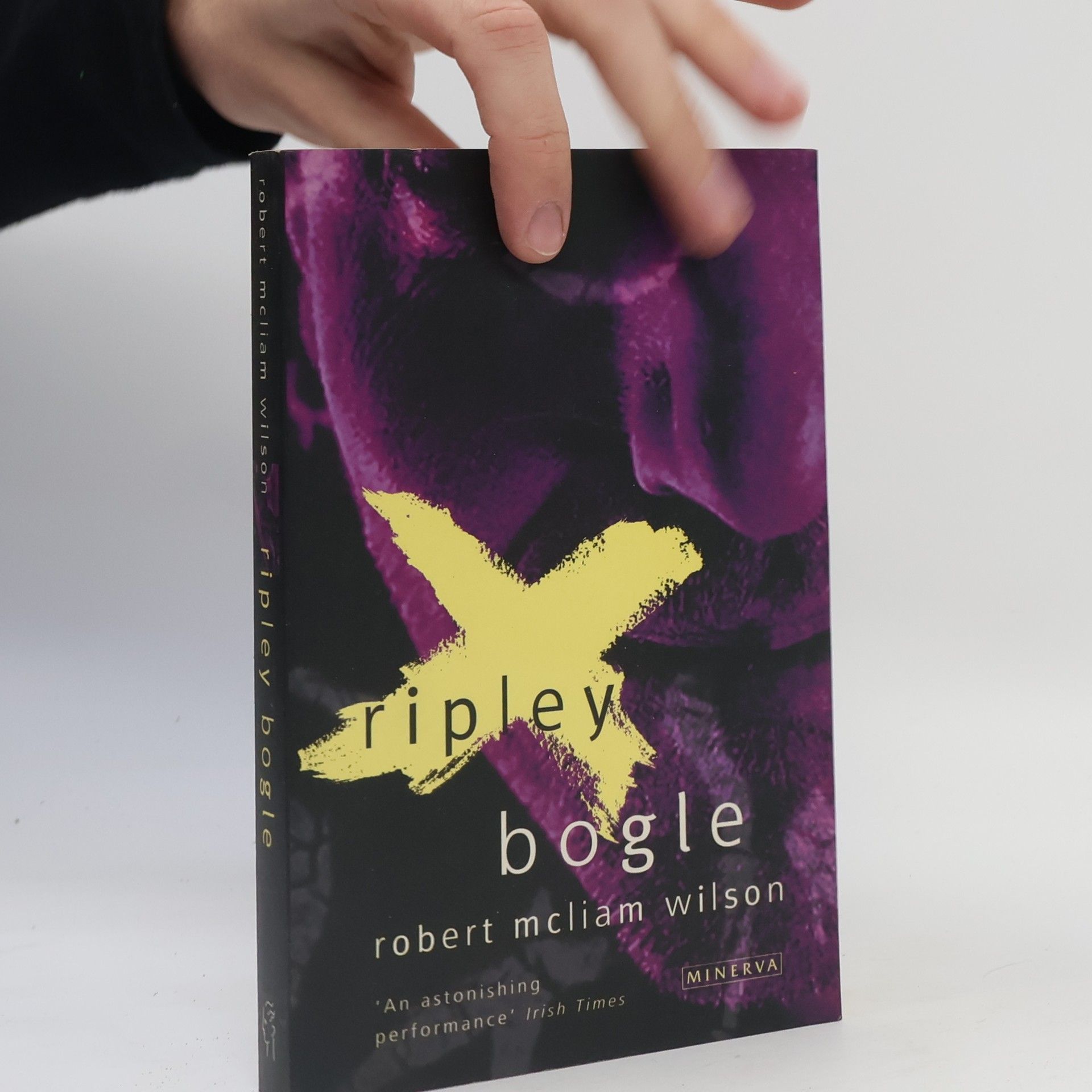 Robert McLiam Wilson Ripley Bogle