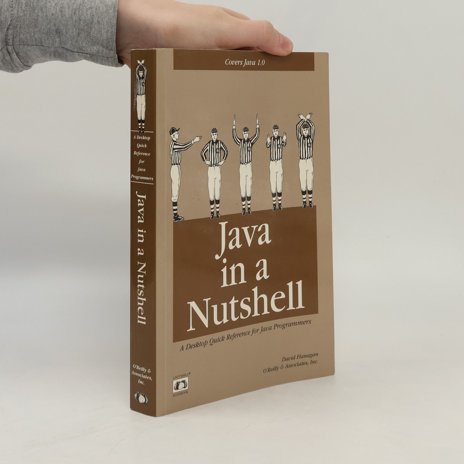 David Flanagan Java in a nutshell