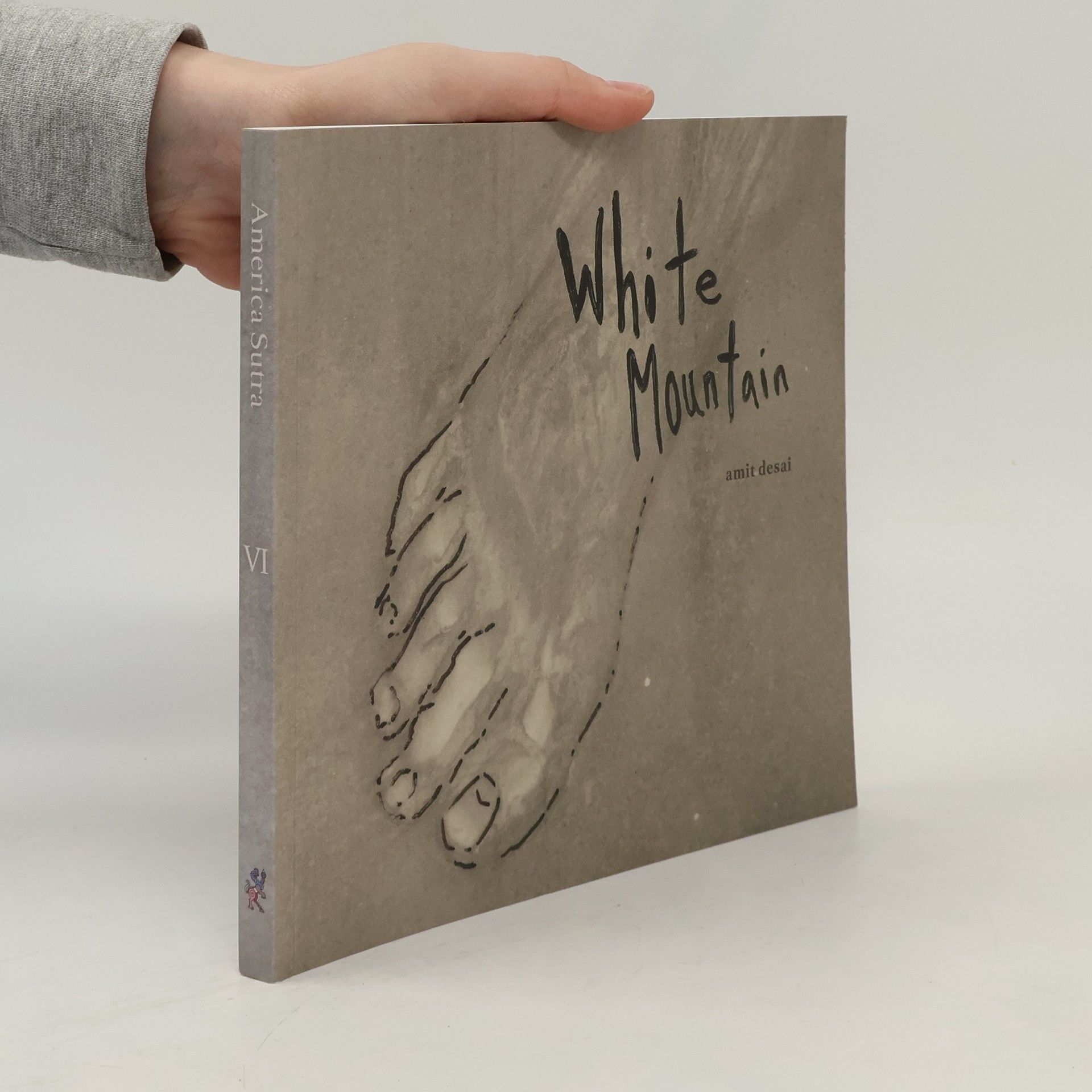 Amitabh Desai America Sutra: White Mountain