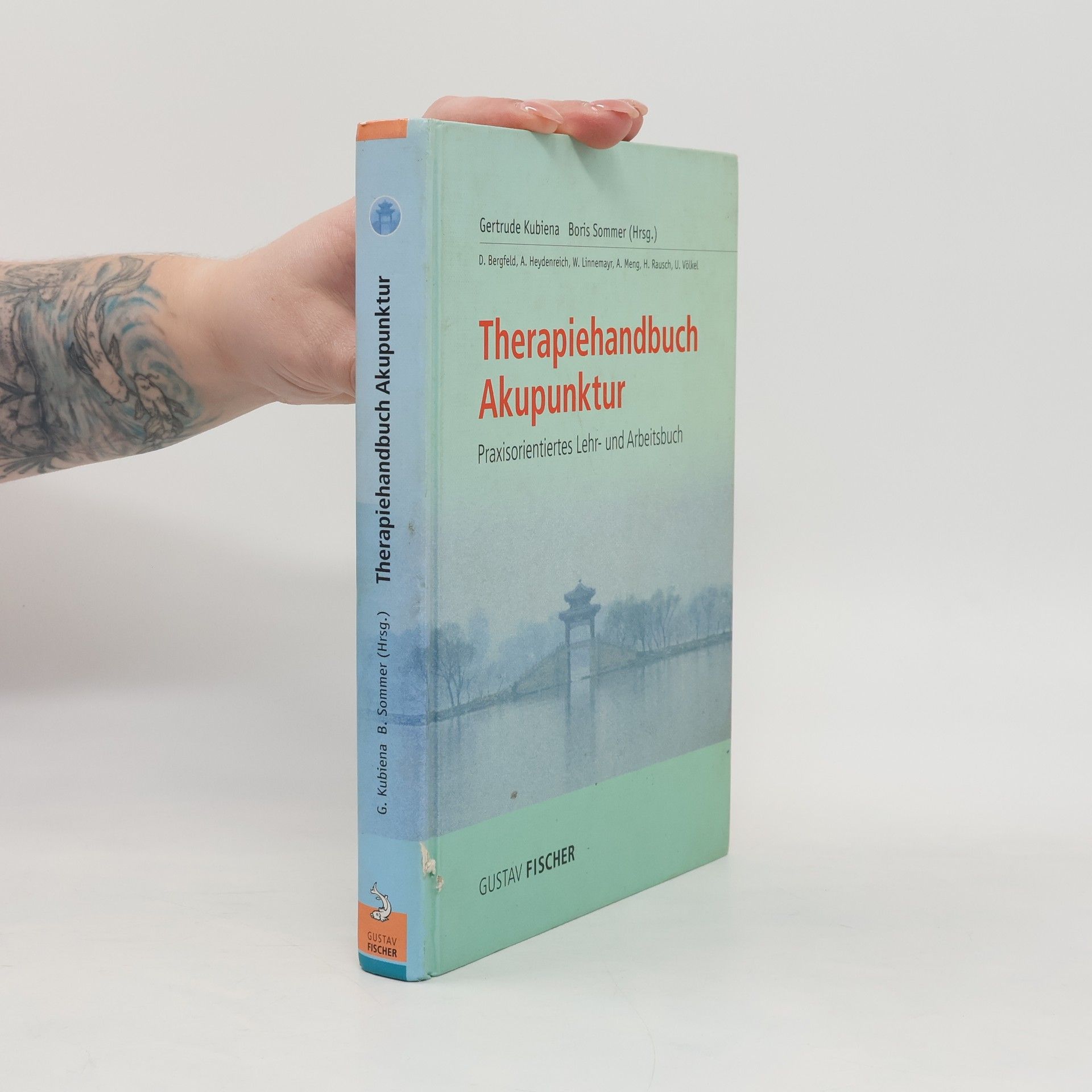 Therapiehandbuch Akupunktur