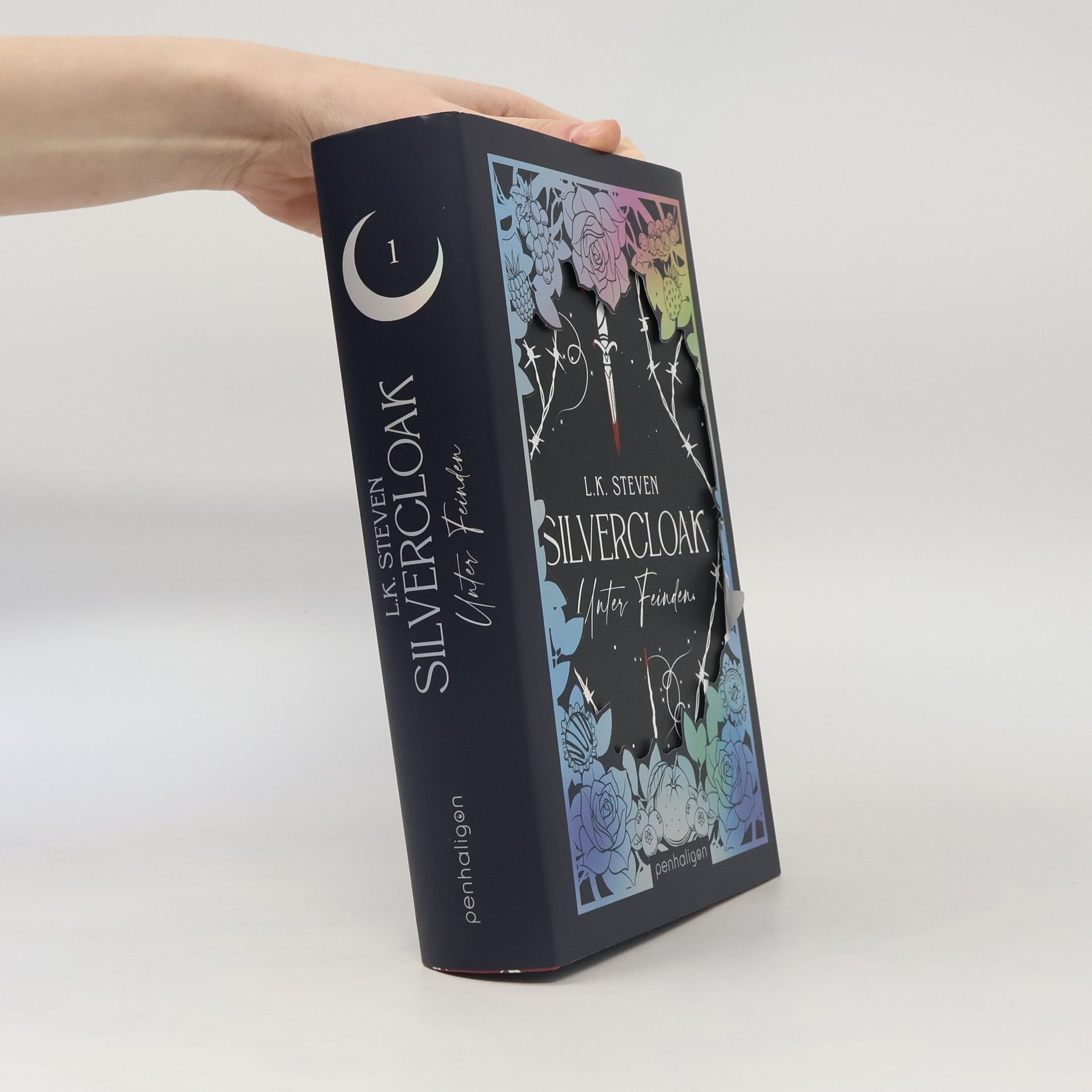 L.K. Steven Silvercloak - Unter Feinden