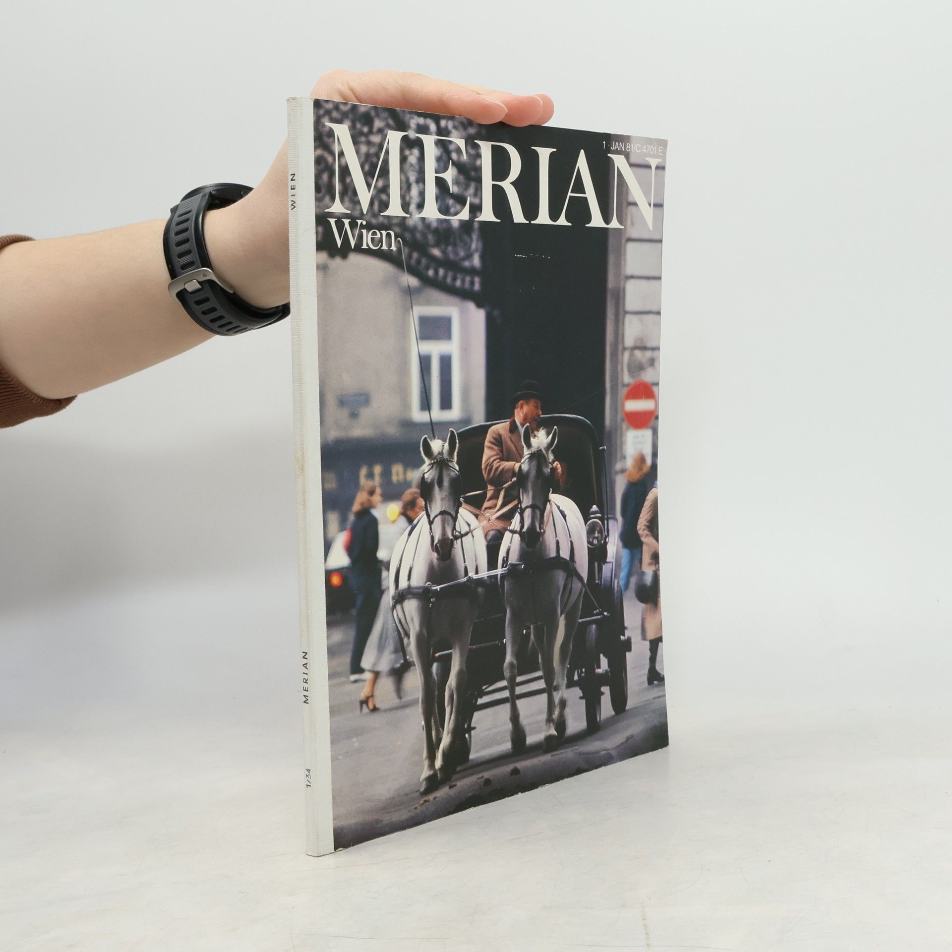 Kolektív autorov Wien