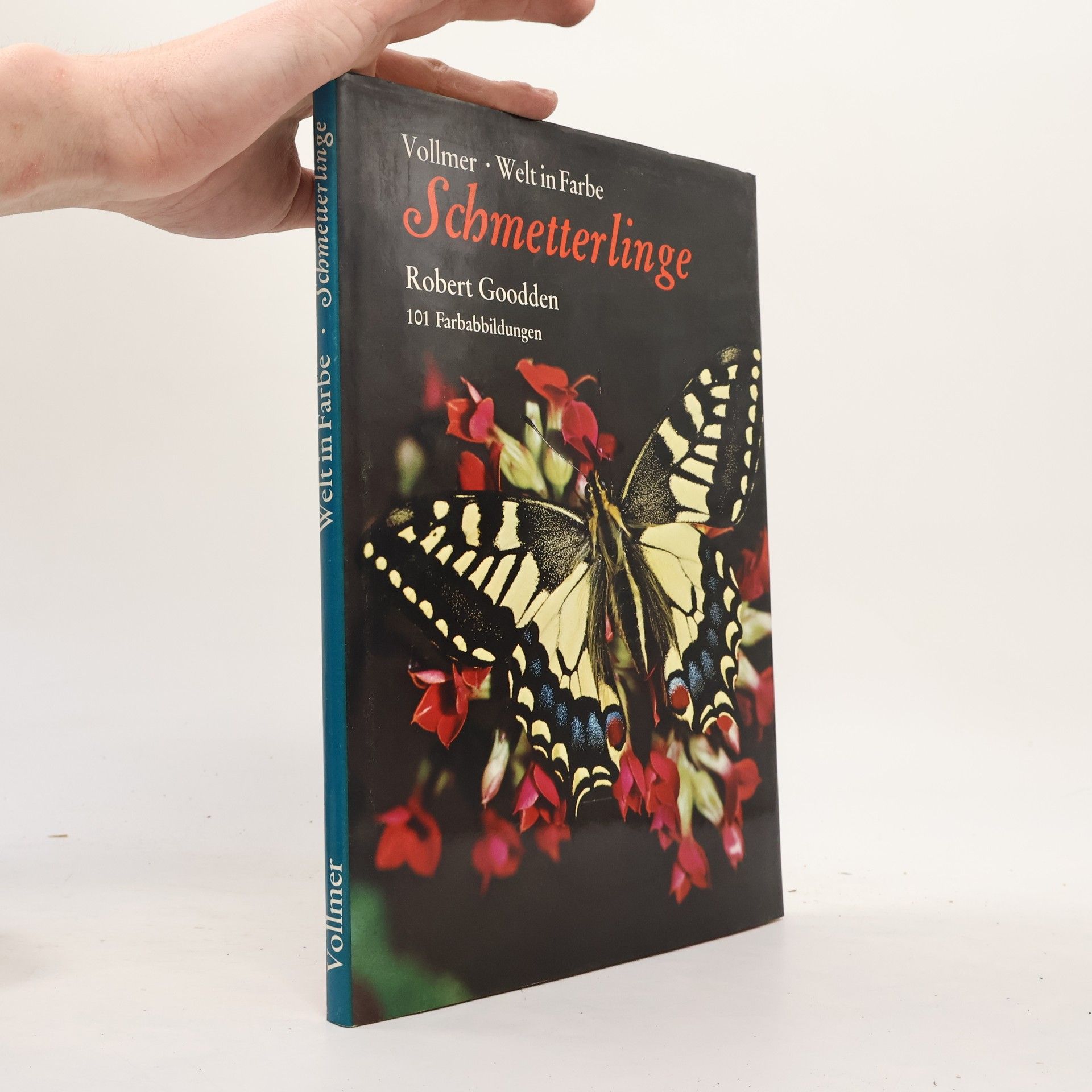 Welt in Farbe. Schmetterlinge