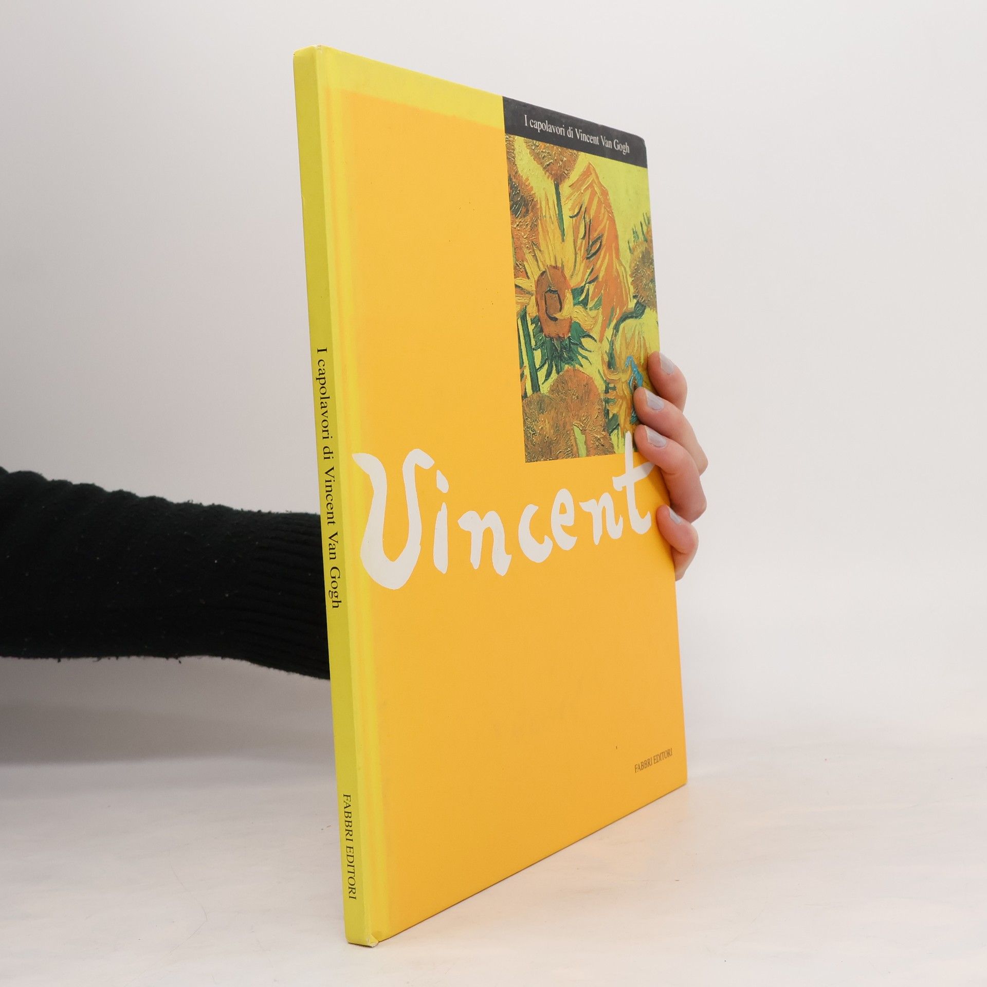 Various authors I capolavori di Vincent Van Gogh