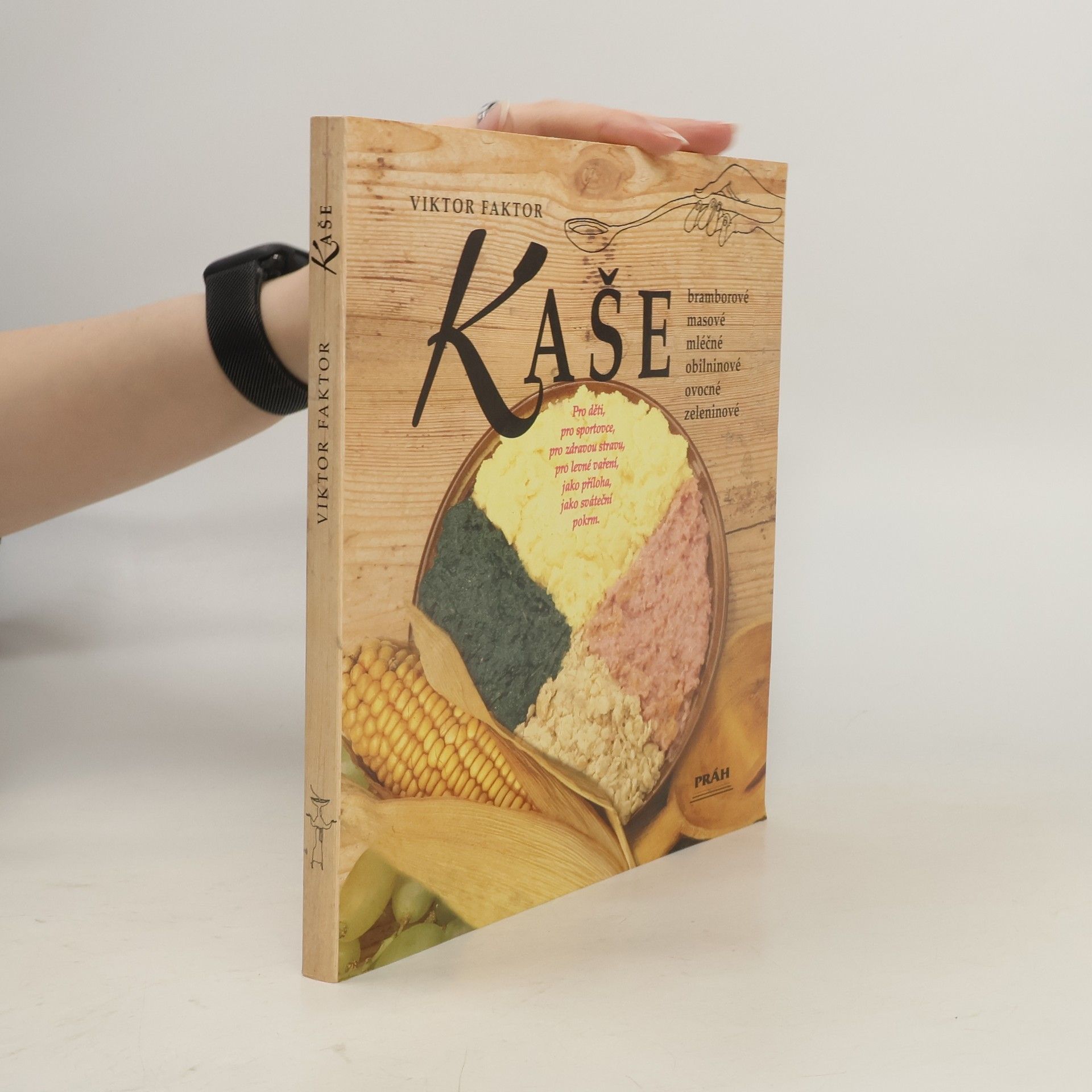 Viktor Faktor Kaše